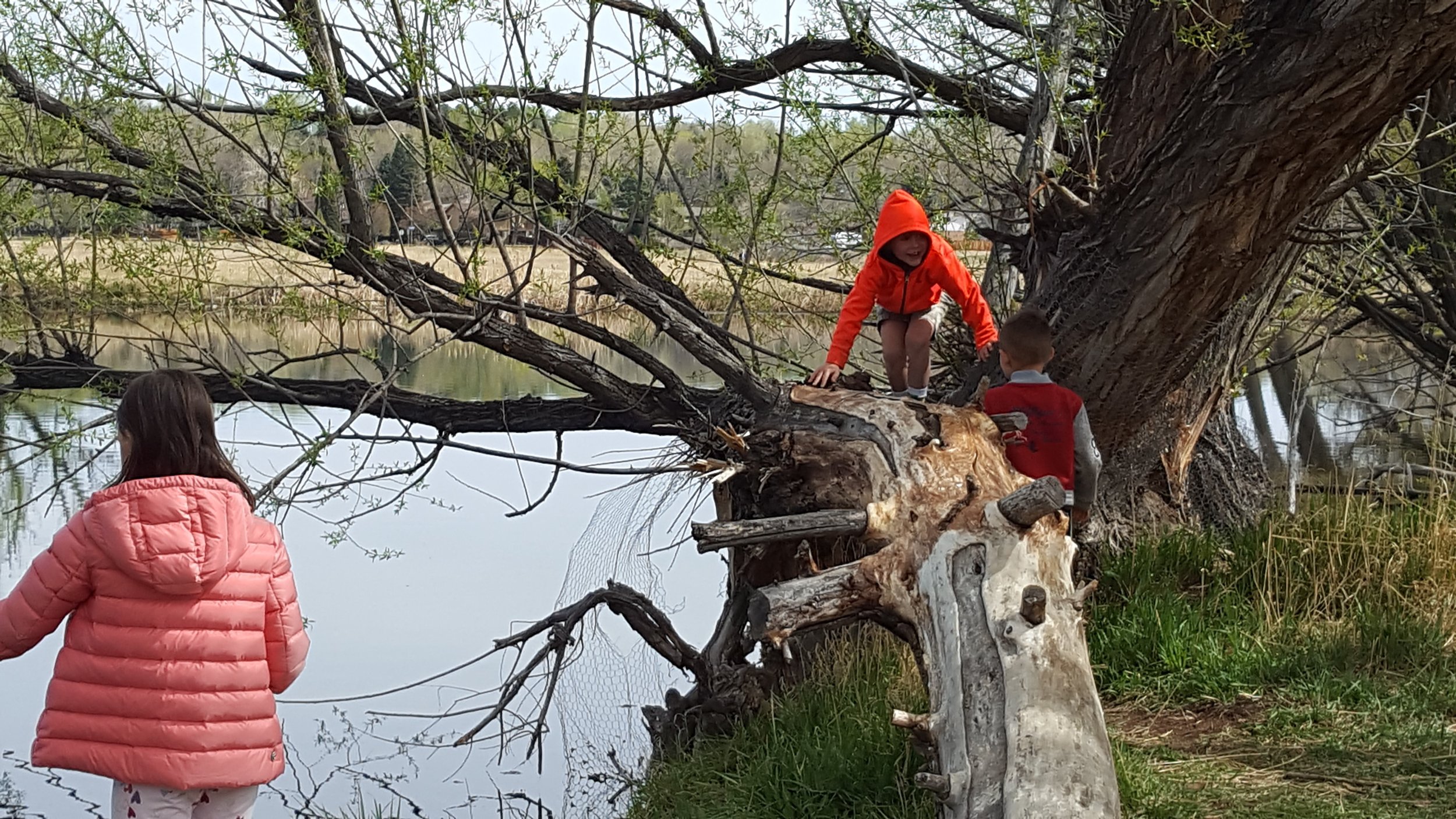 Three children play on a fallen tree beside a pond, with one wearing a bright orange hooded jacket and another in a pink coat.