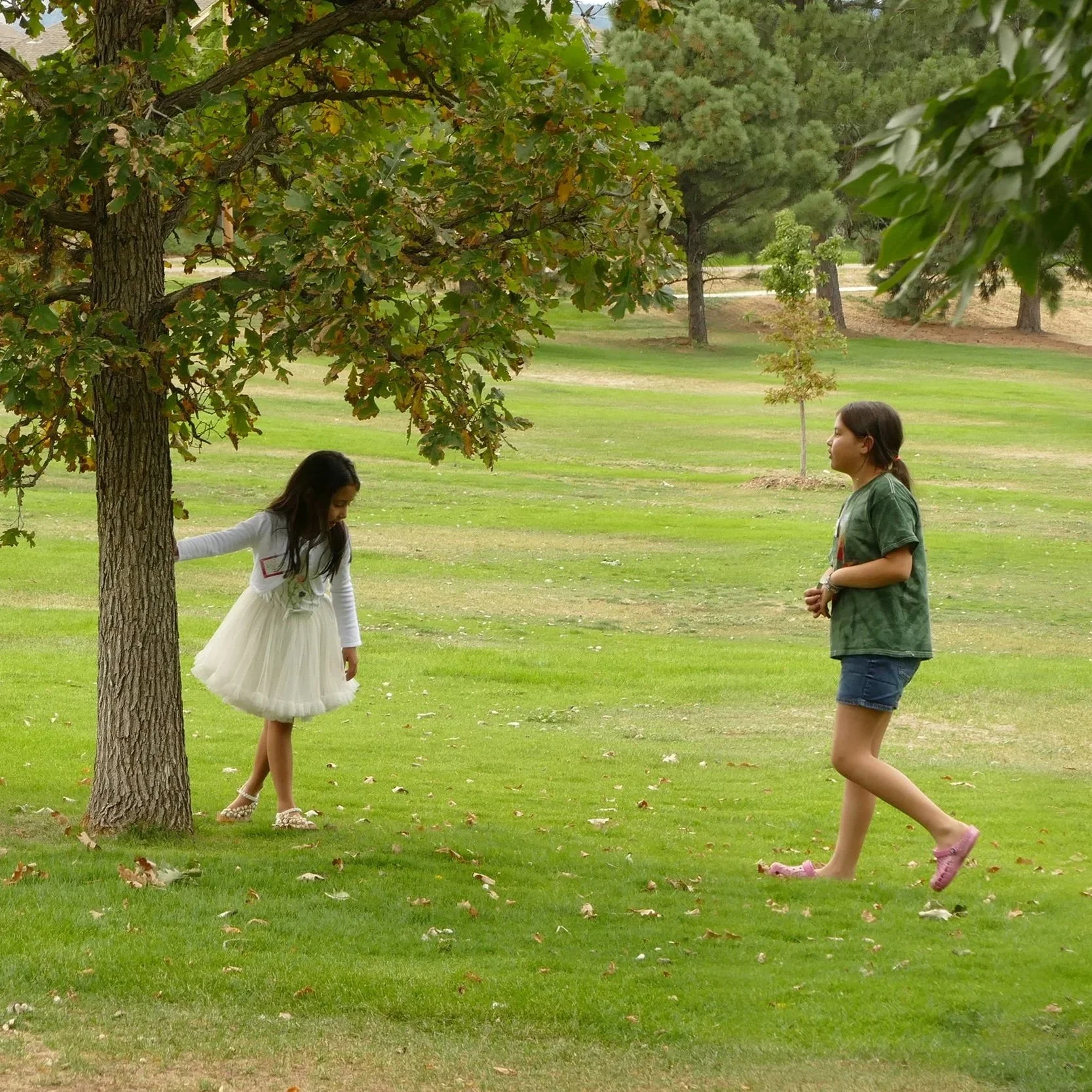 Two girls discovering the Wood Element while playing in a grassy park beneath a large leafy tree.