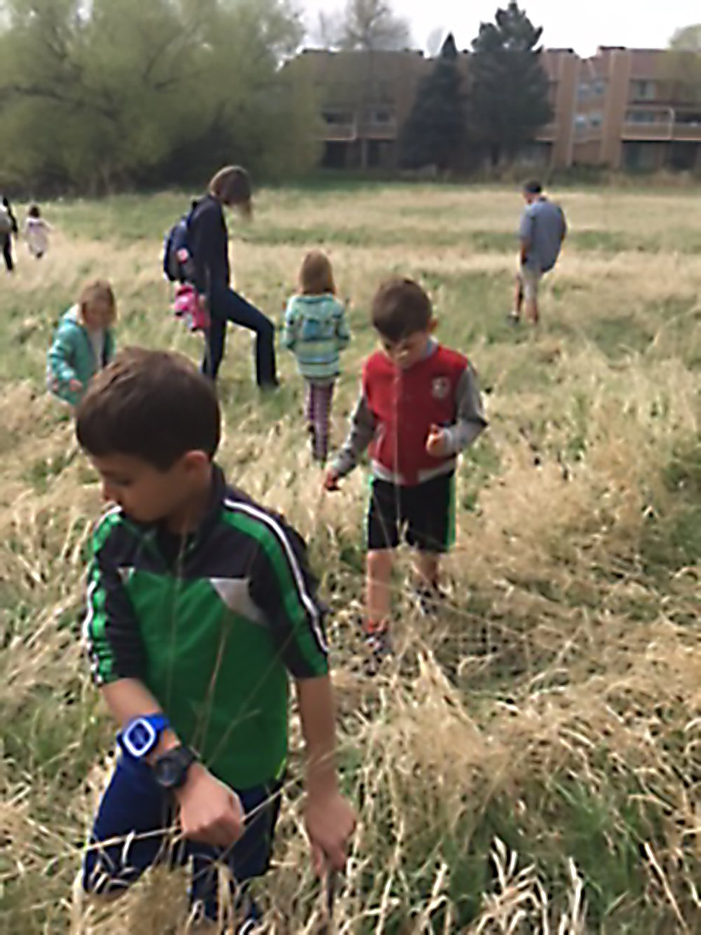 Children and adults walking through a grassy area discovering the 5 Elements during the Jade Kids Nature Outing in the Park