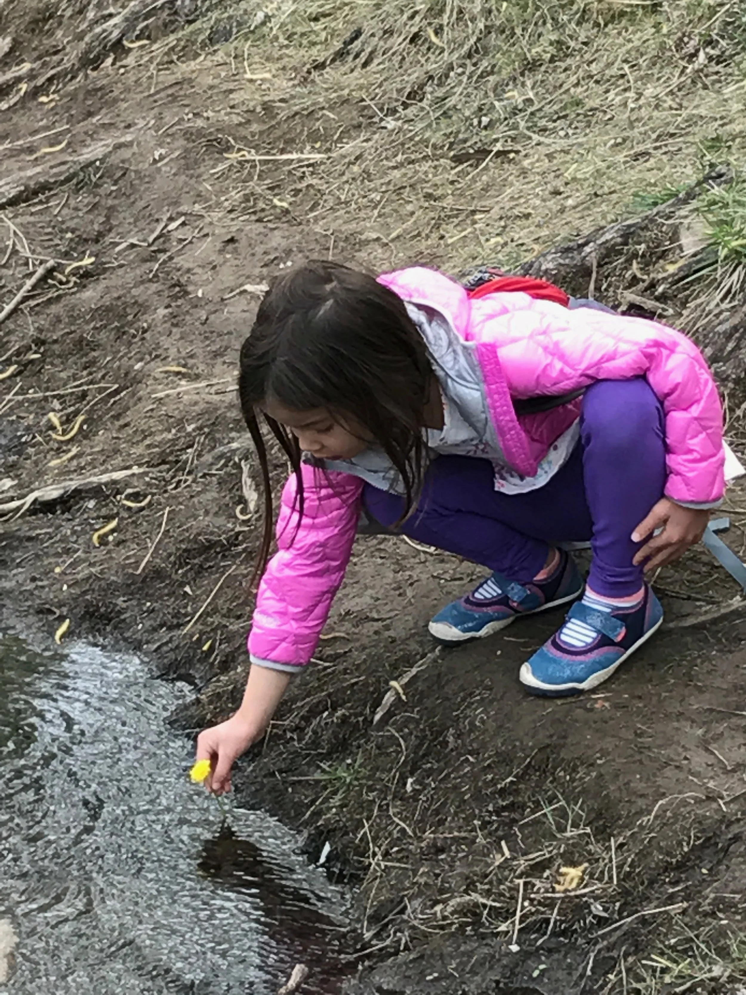 Child in a pink jacket crouching beside a stream and holding a yellow flower while attending the Jade Kids Nature Outing in the Park