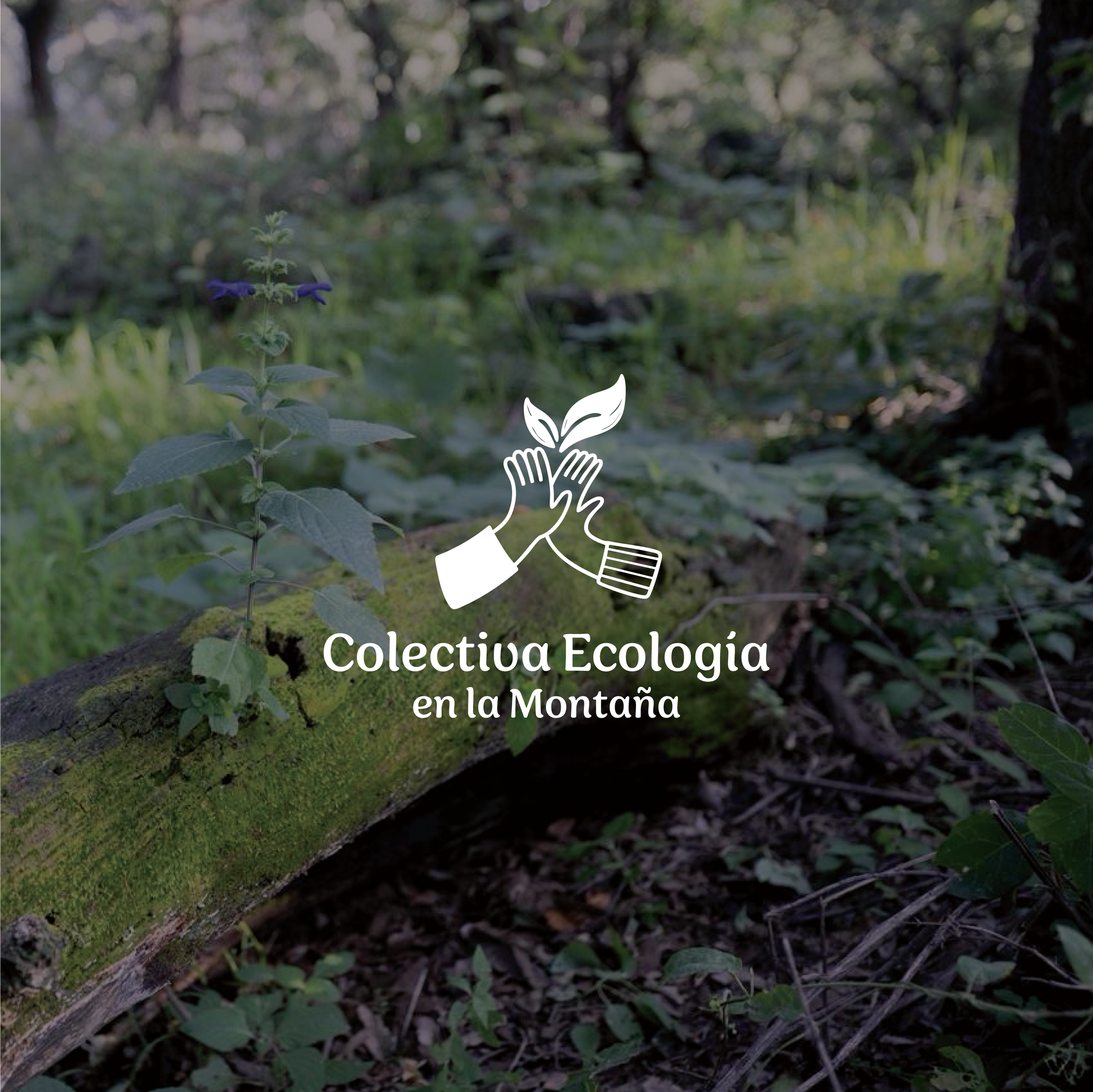 Community Involvement