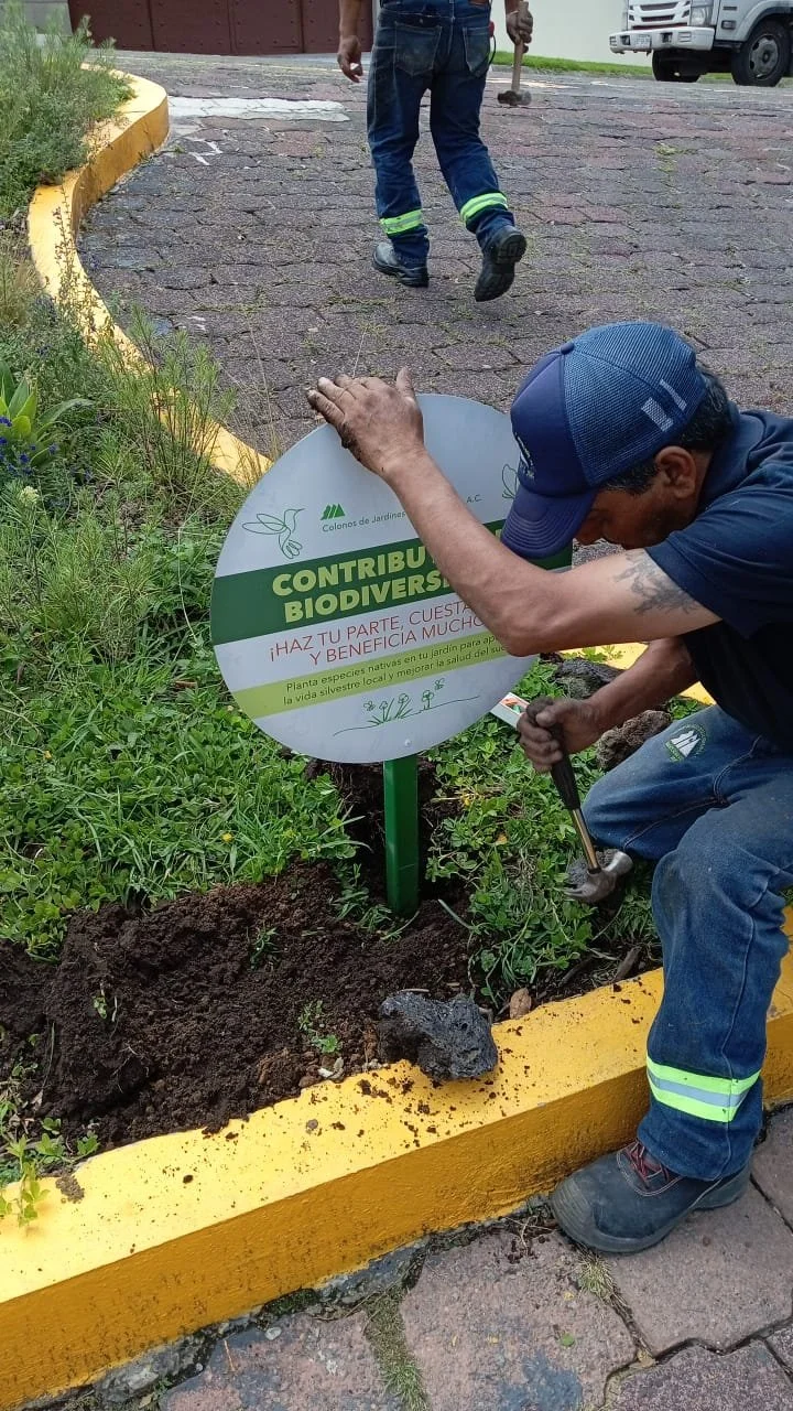 PHOTO-2025-09-25-13-47-29 2.jpg