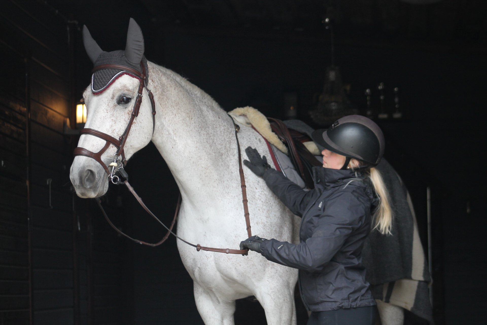 How EquiXConnect Makes Finding Equestrian Jobs Easier&nbsp;By EquiXConnect Team · May 10, 2026 ·