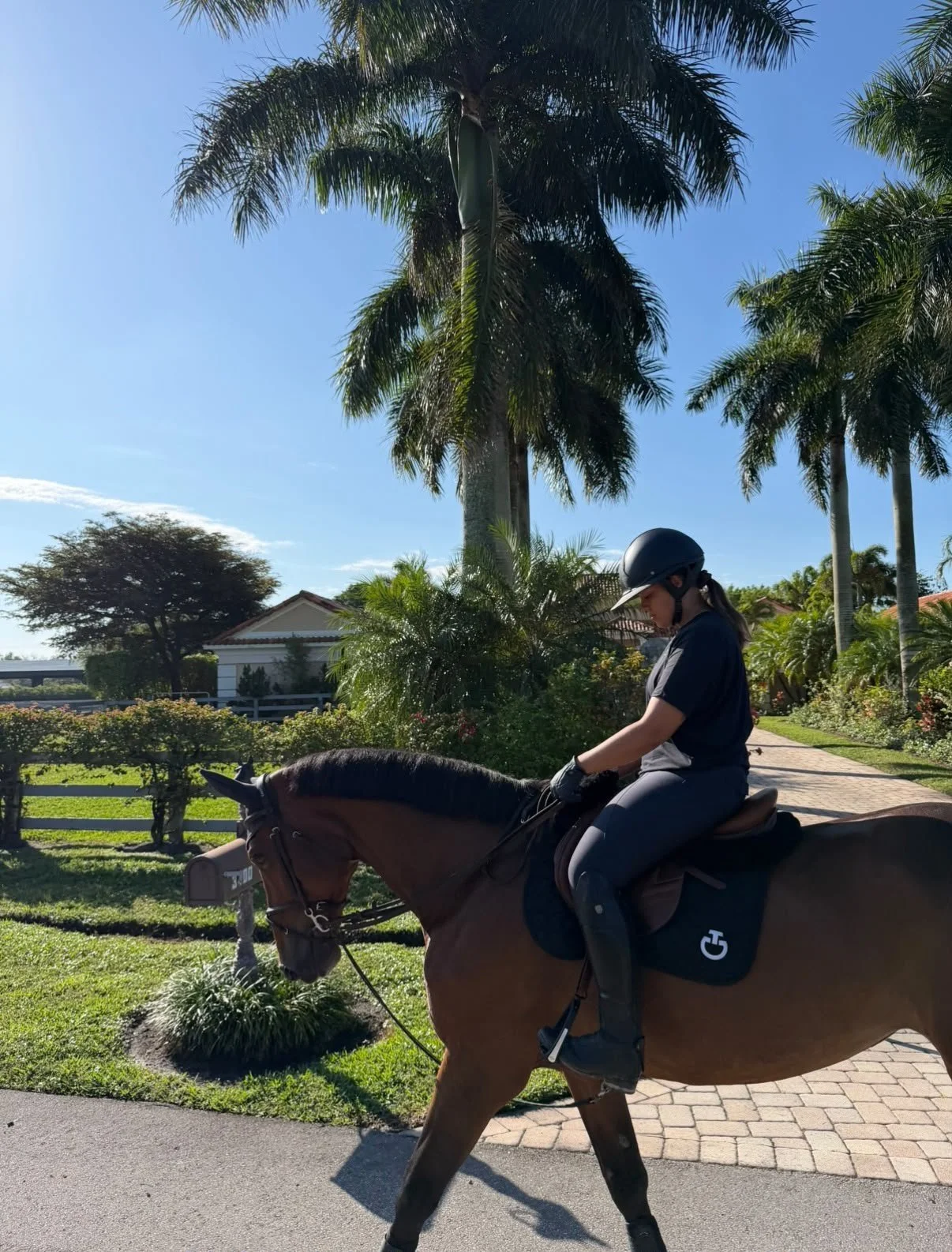 Real Stories, Real Careers: How EquiXconnect Helps Equestrian Professionals Find Their Perfect Match