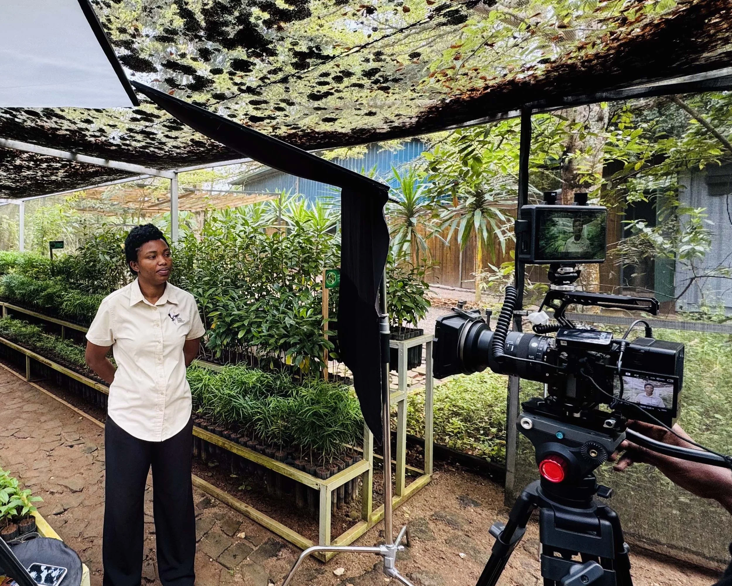 Visualists interview setup