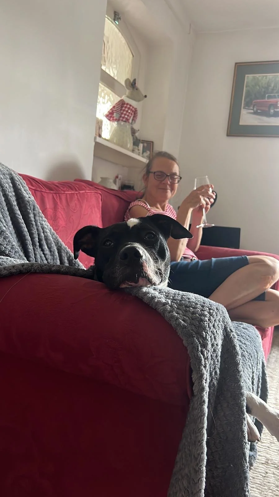 woman smiling at her dog while sipping wine