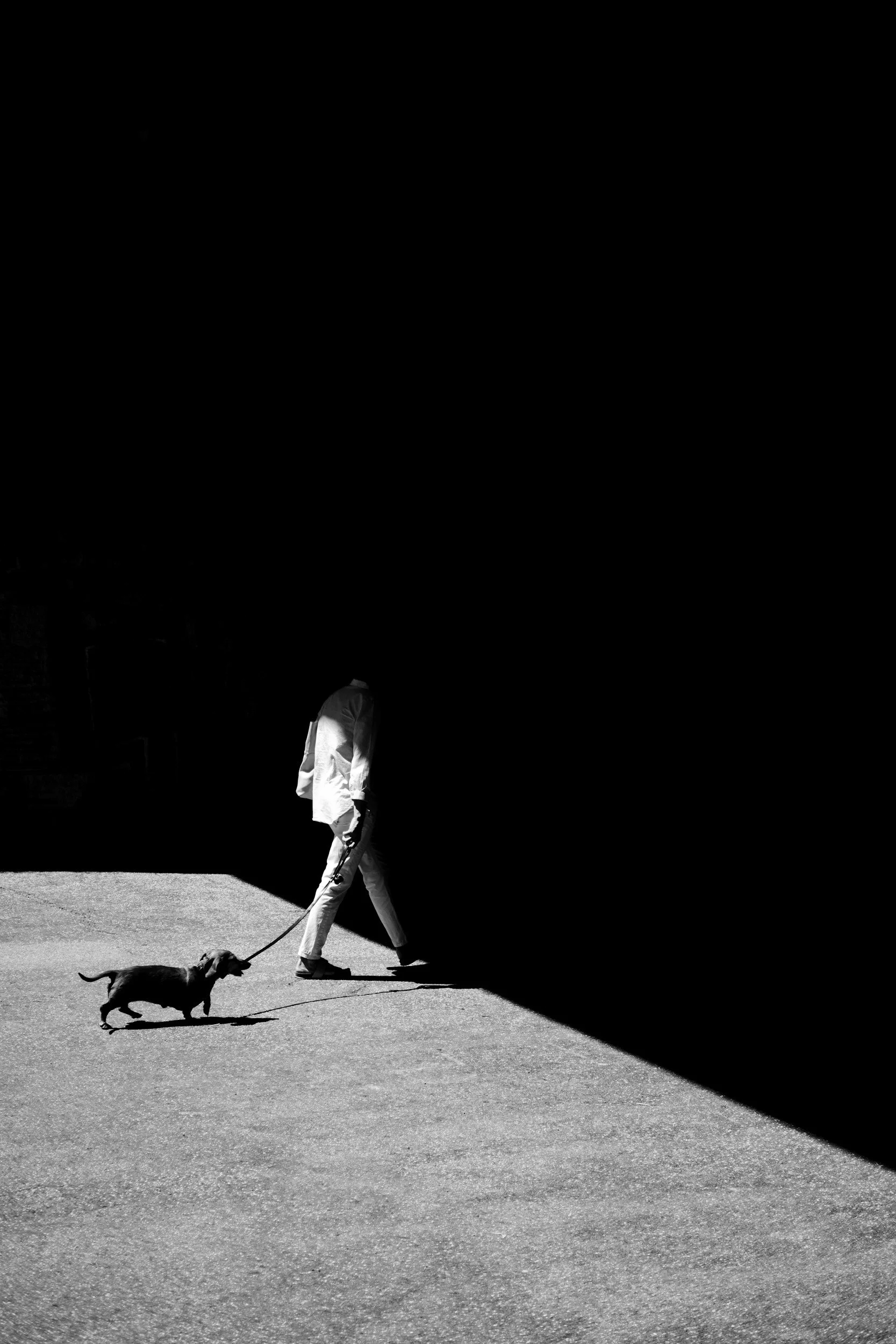 walking reactive dog early hours in the morning