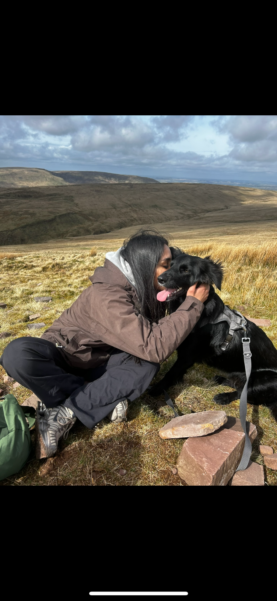 german shepherd cross collie post reactivity training