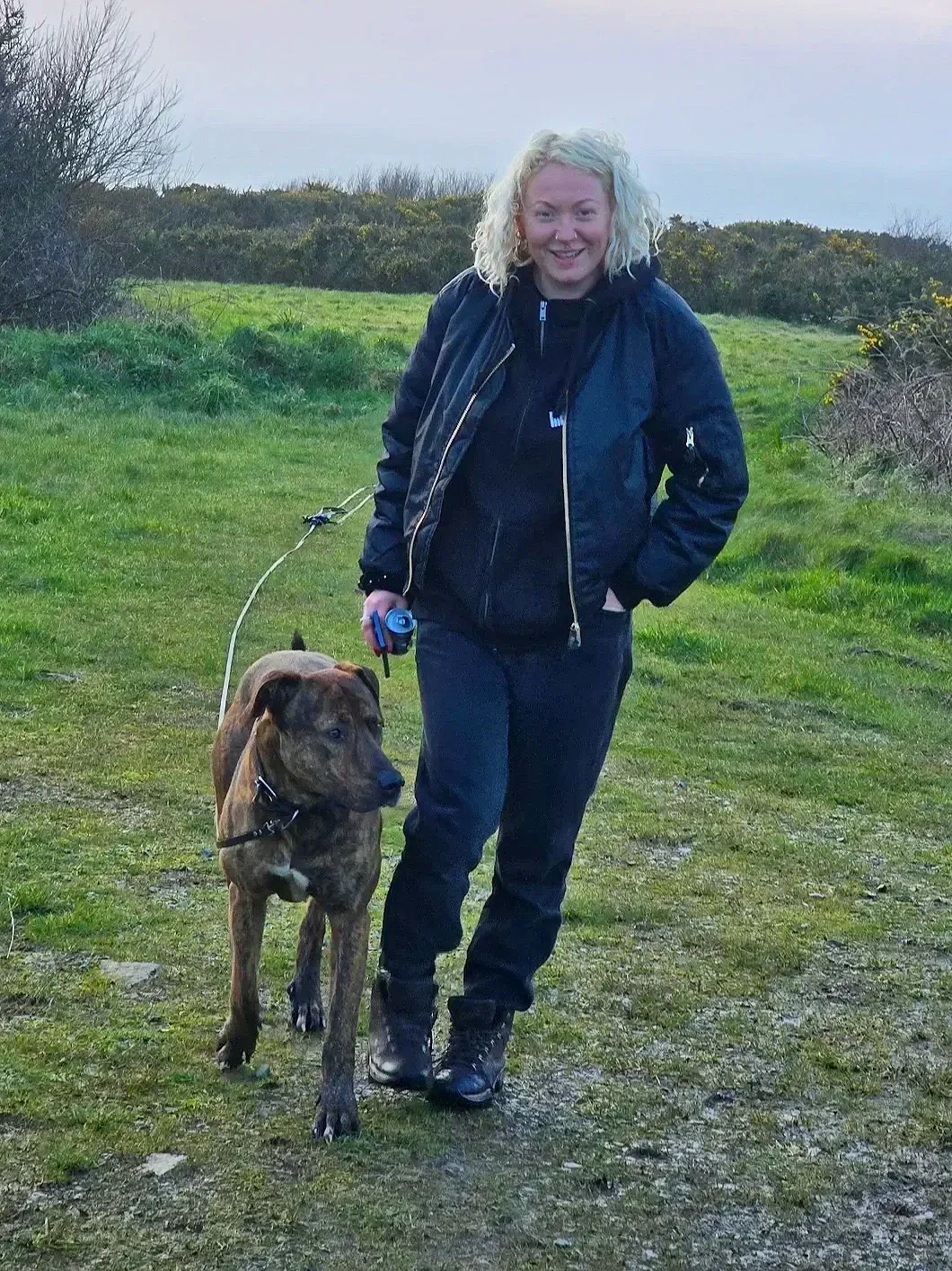 A woman walking a brindle Great Dane on a grassy outdoor trail, with trees and hills in the background.
