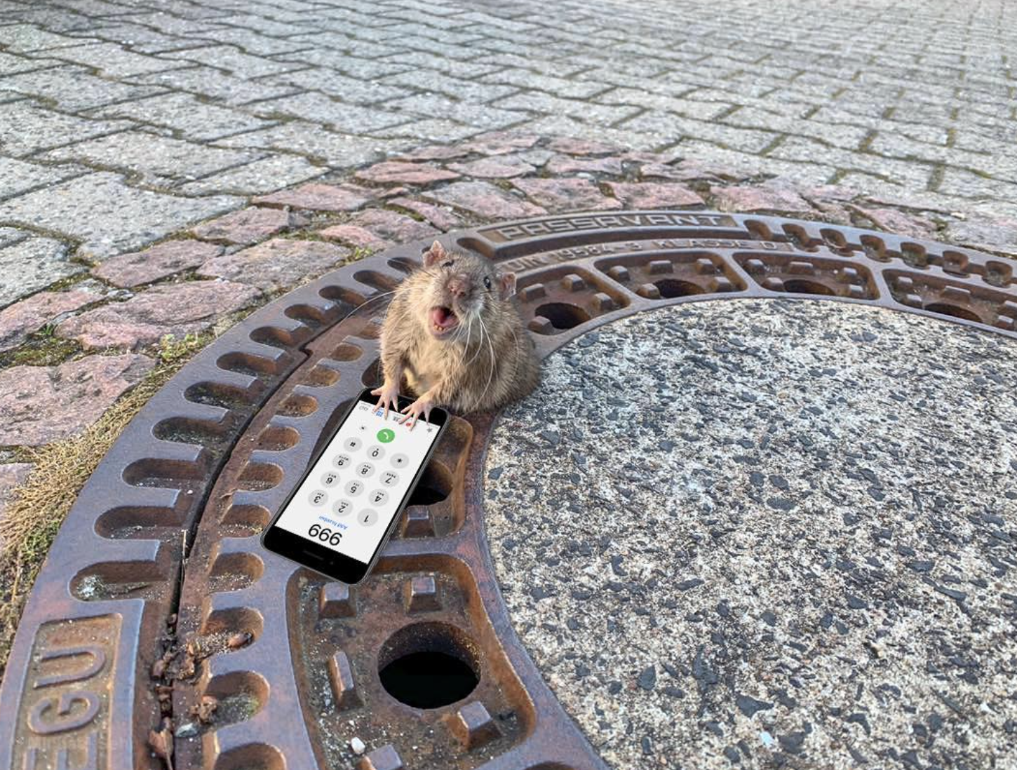 have never related so much to a sewer rat. 🐀 #fatrat #phonesaregood