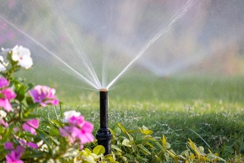 Optimizing Your Irrigation & Landscaping in Highlands Ranch