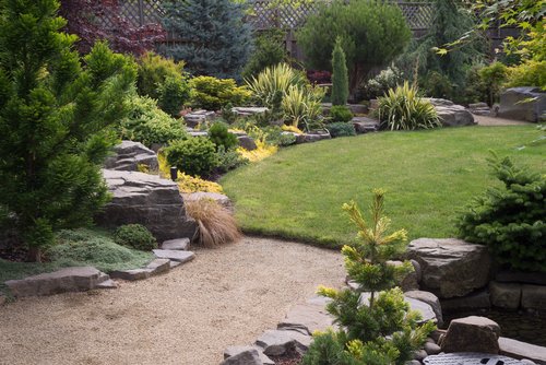 2025 Trends in Landscaping: Our Centennial Team Weighs In