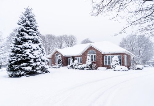 Winterize Your Landscaping & Irrigation with Our Detailed Guide
