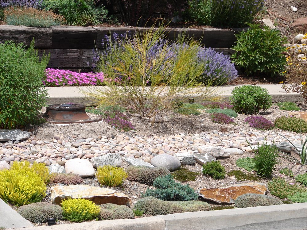 Castle Pines Landscaping: Tips to Create a Low-Maintenance Yard