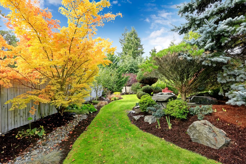 from concept to reality: landscaping design in denver, co