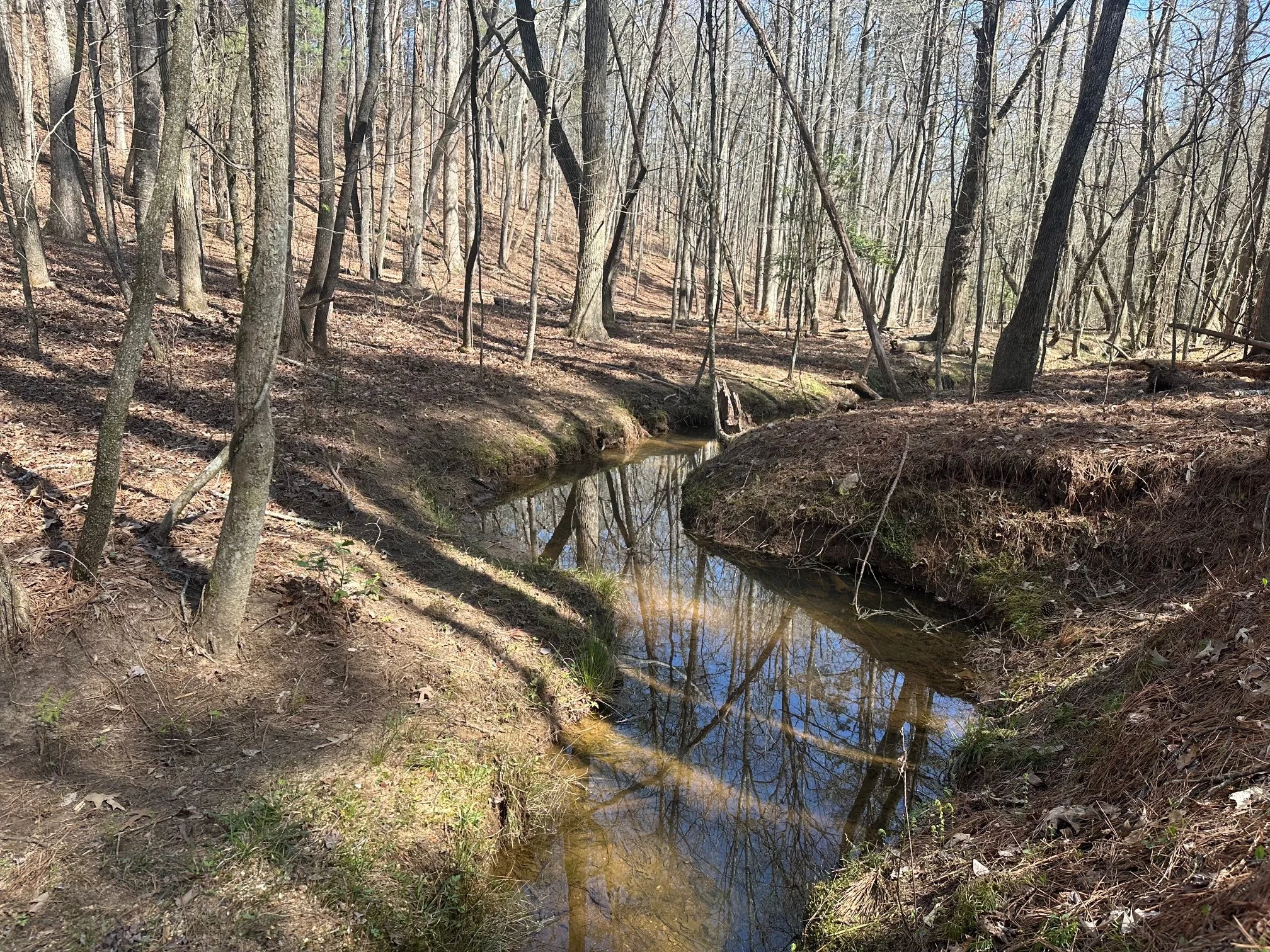 Creek front acreage in Northeast Georgia for sale. A small stream in a wooded area with bare trees and sunlight filtering through the branches.