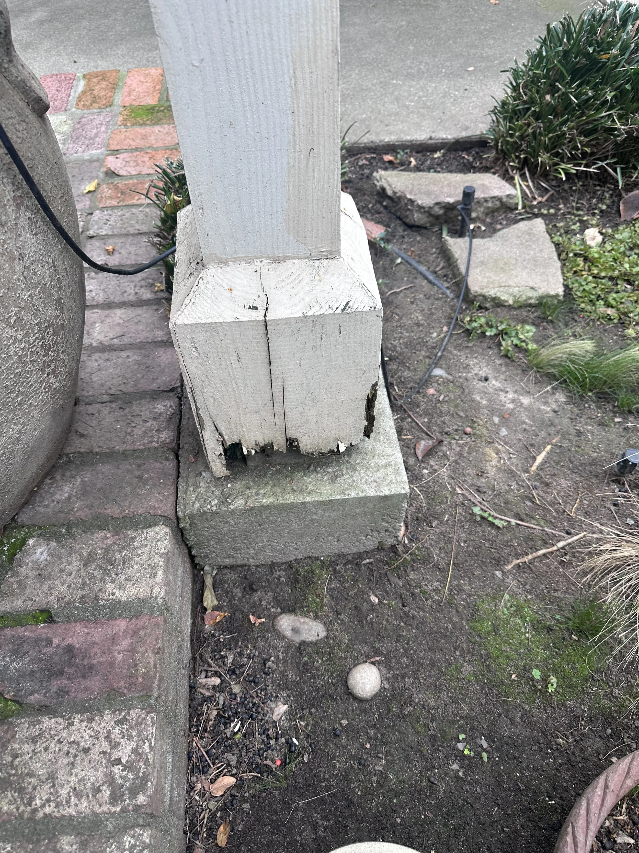 THE HIDDEN DANGER OF DRYROT