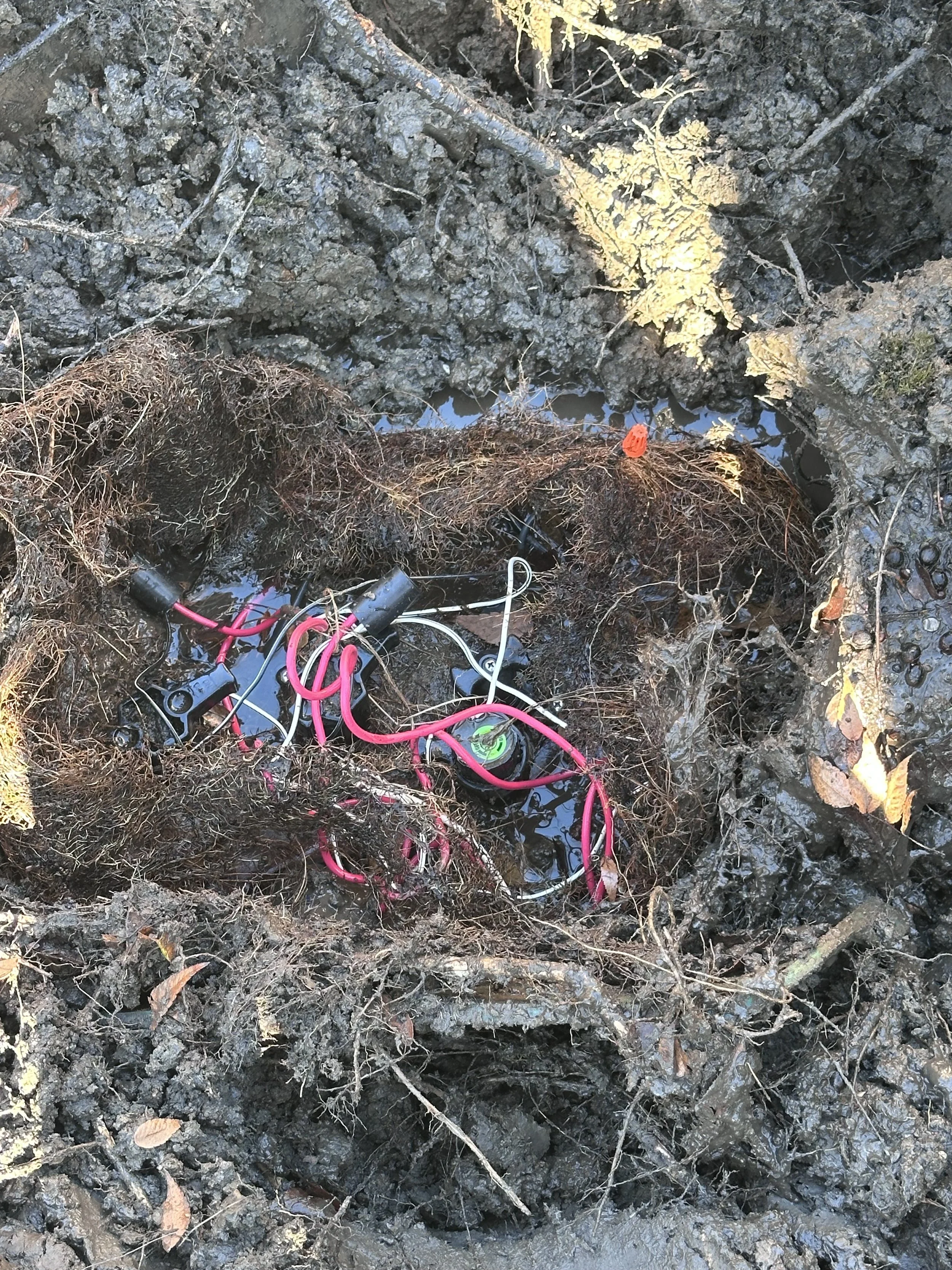 Tree Roots Damaging Sprinkler Valve Systems