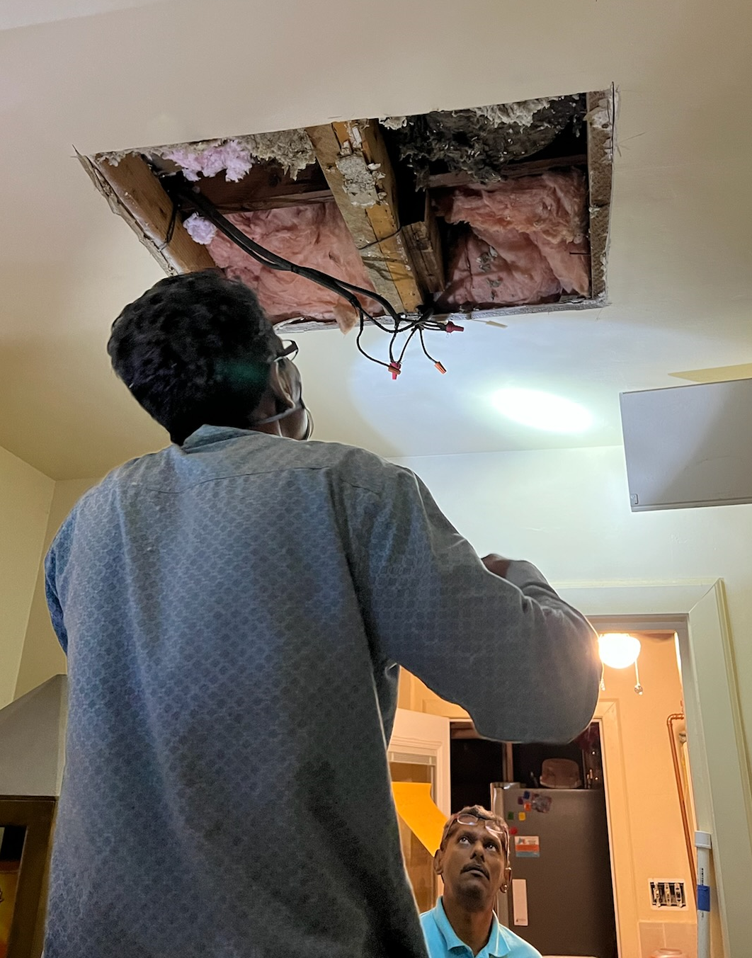 A1Insulation.png