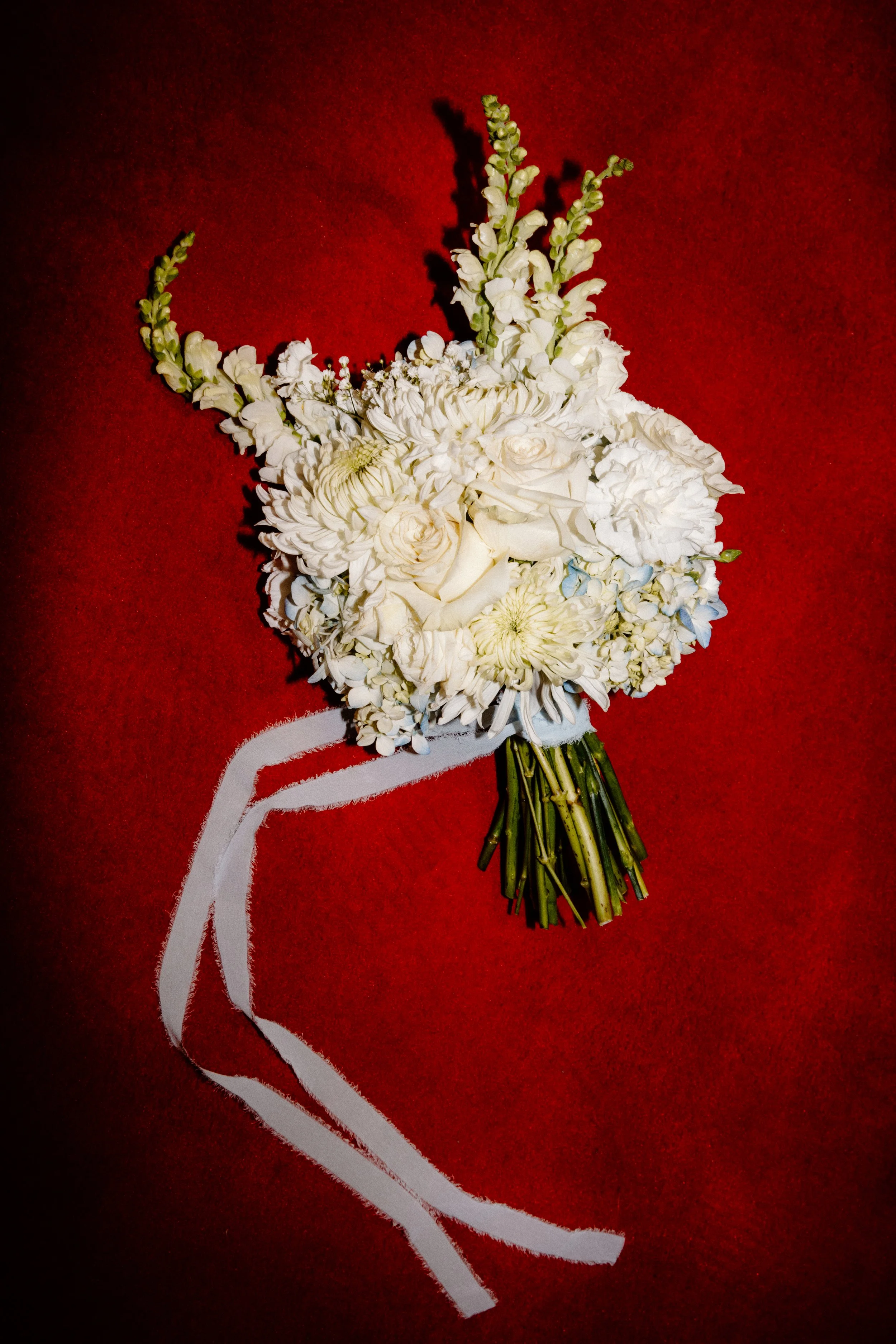 SpringMorrisPhoto_CINDYxCONNOR_0.Previews-8-0260.jpg