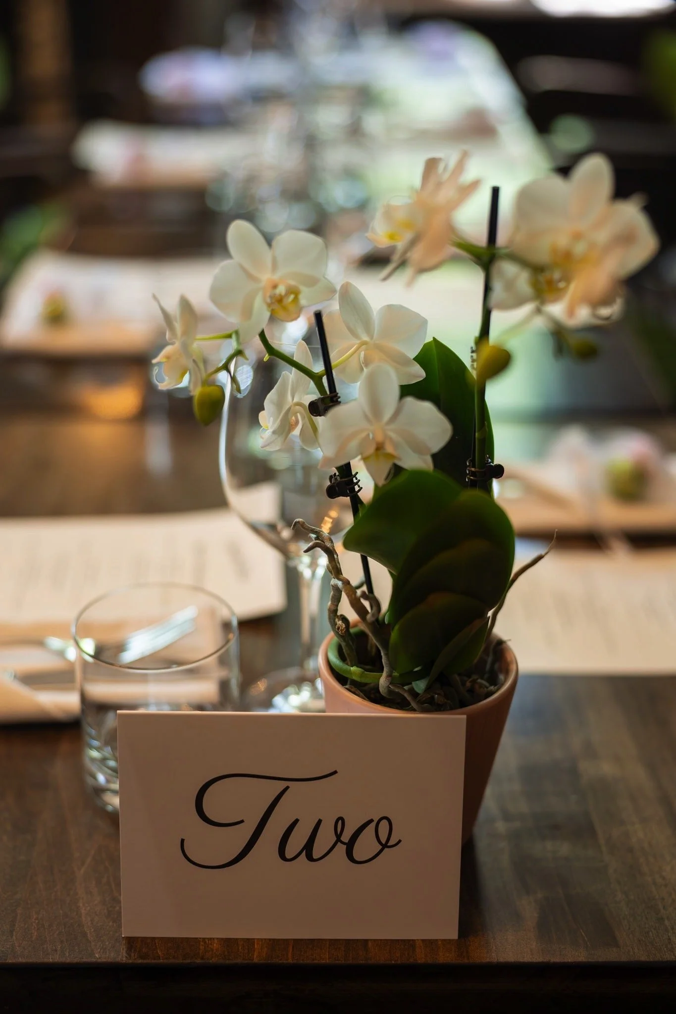 Image 2025-07-27 at 11.33 PM.JPG