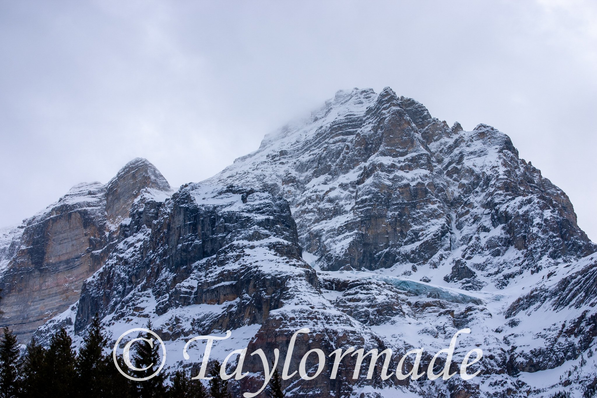 CRW_2641.jpg