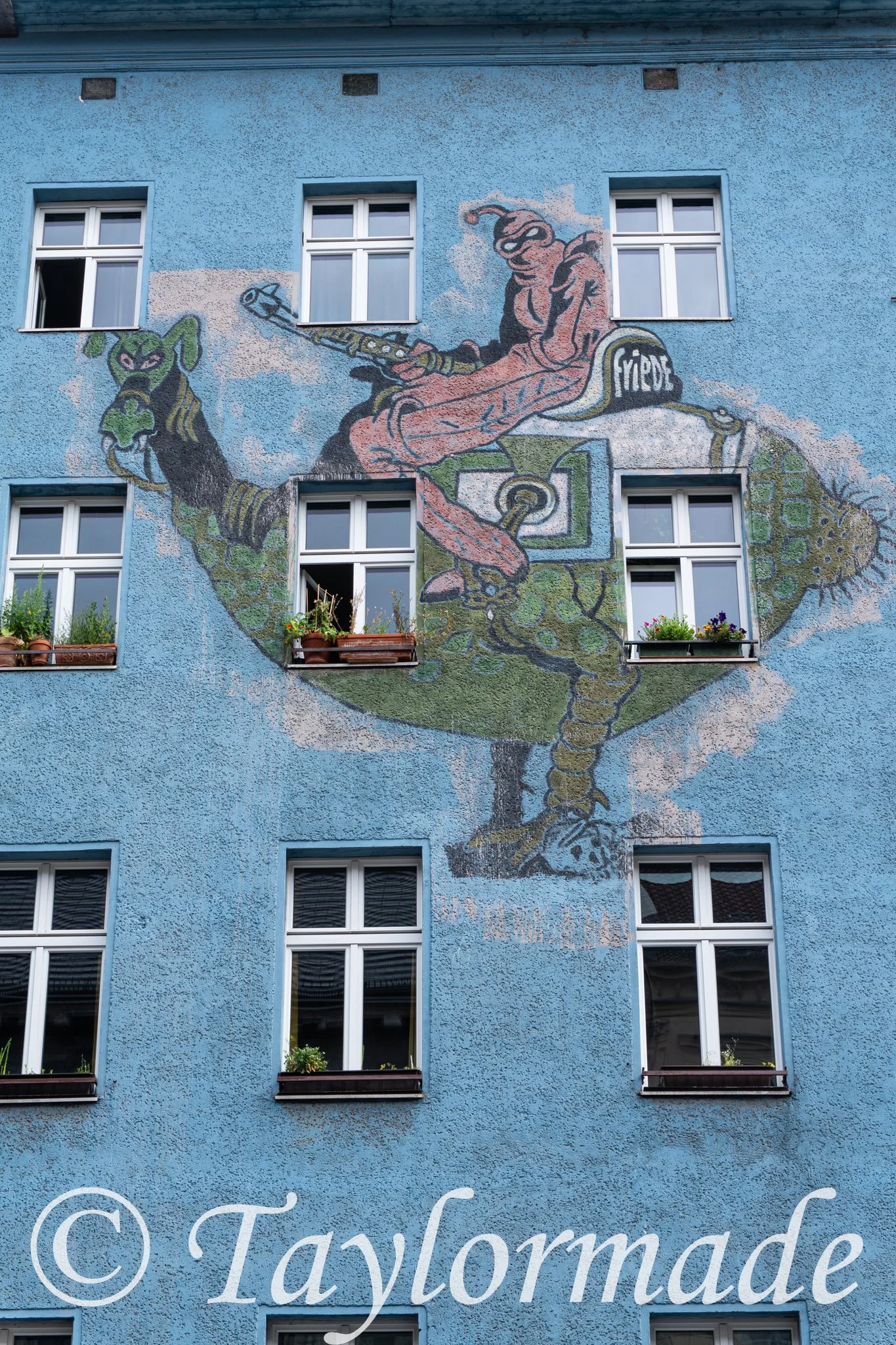 DSC01090.jpg
