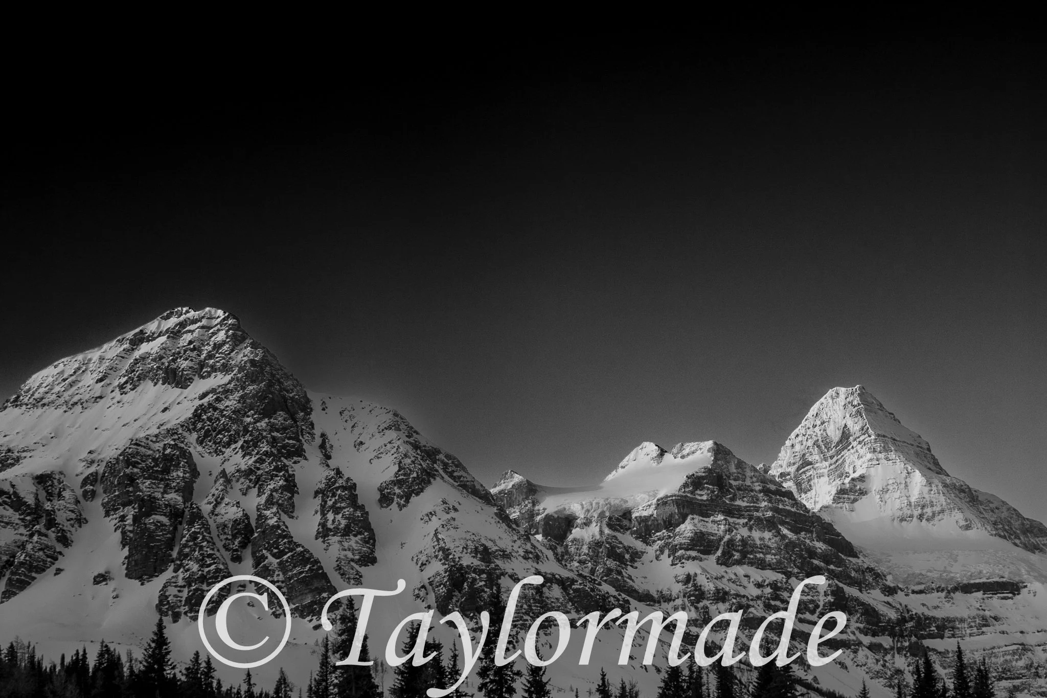 CRW_2781.jpg