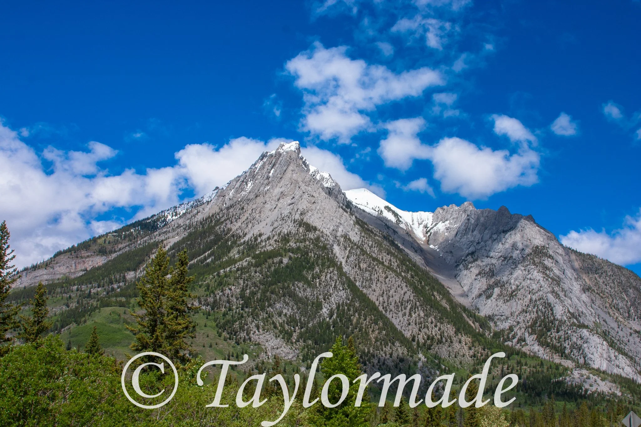 CRW_4337.jpg
