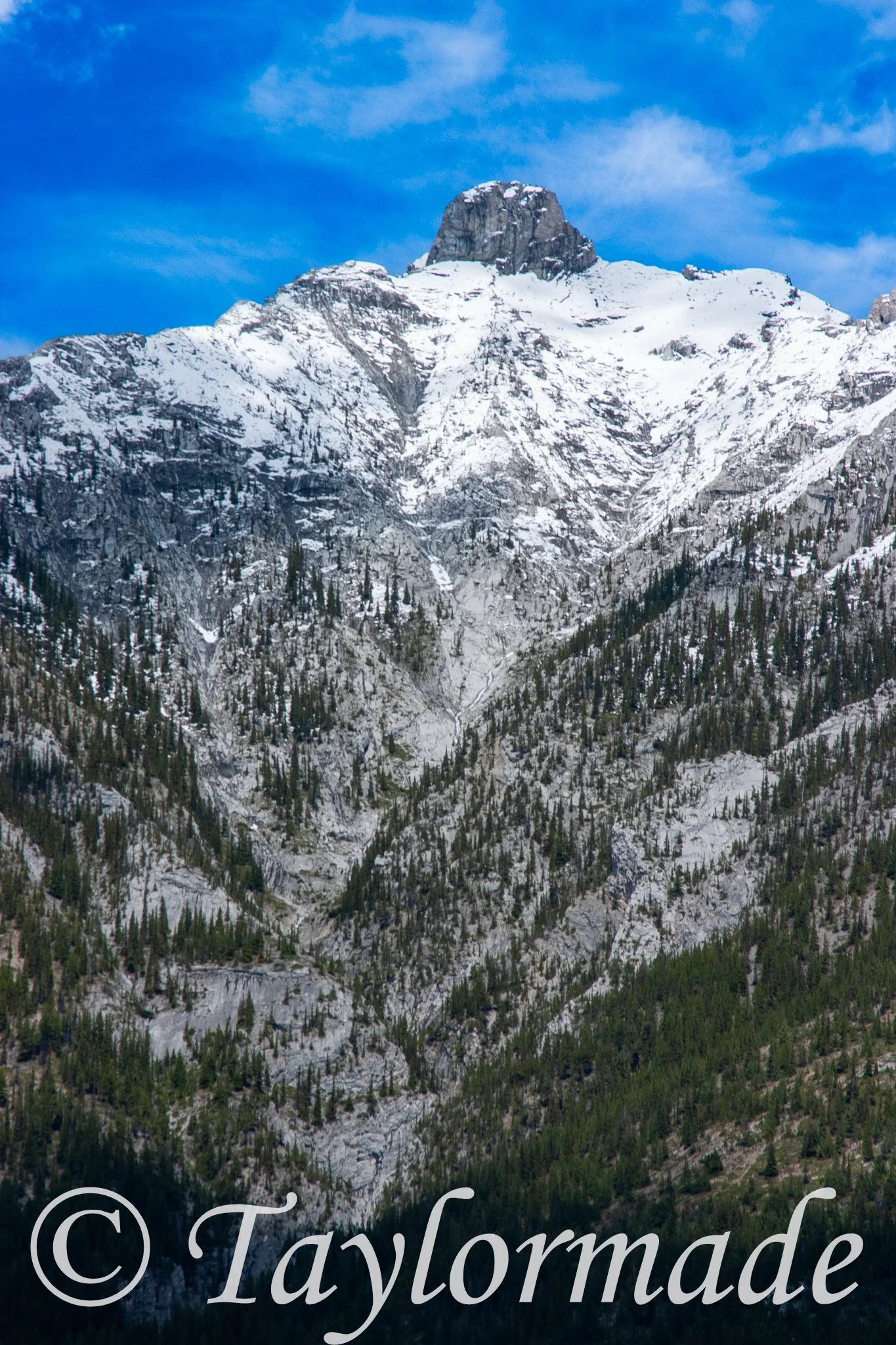 CRW_4481.jpg