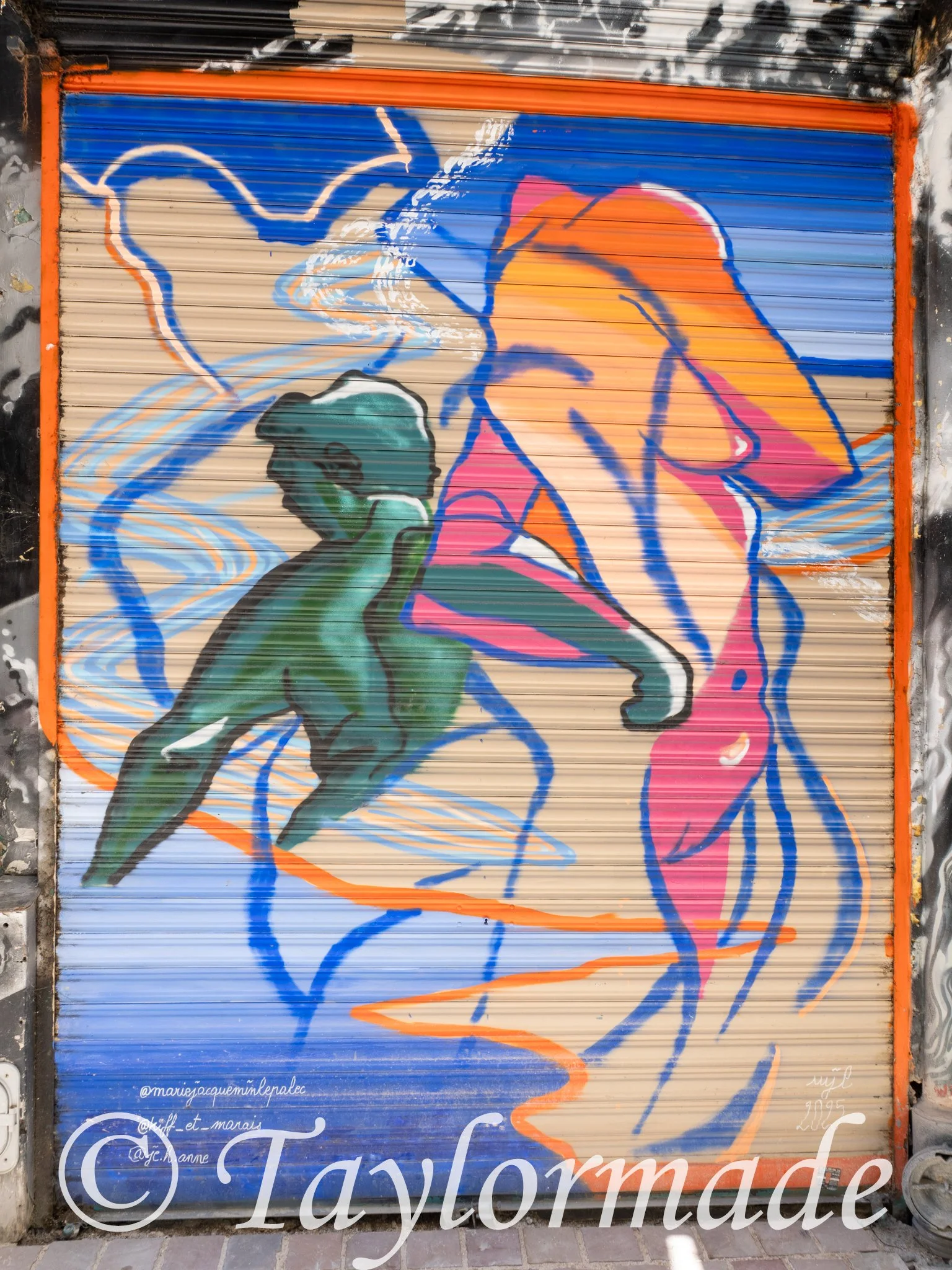 DSC00540.jpg