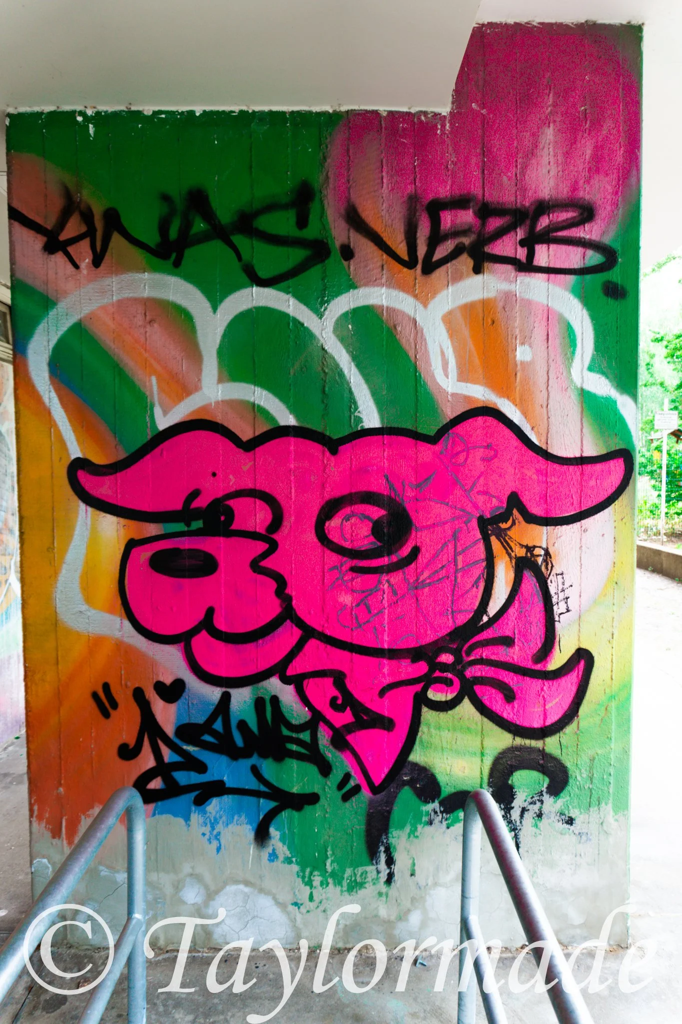 DSC01179.jpg