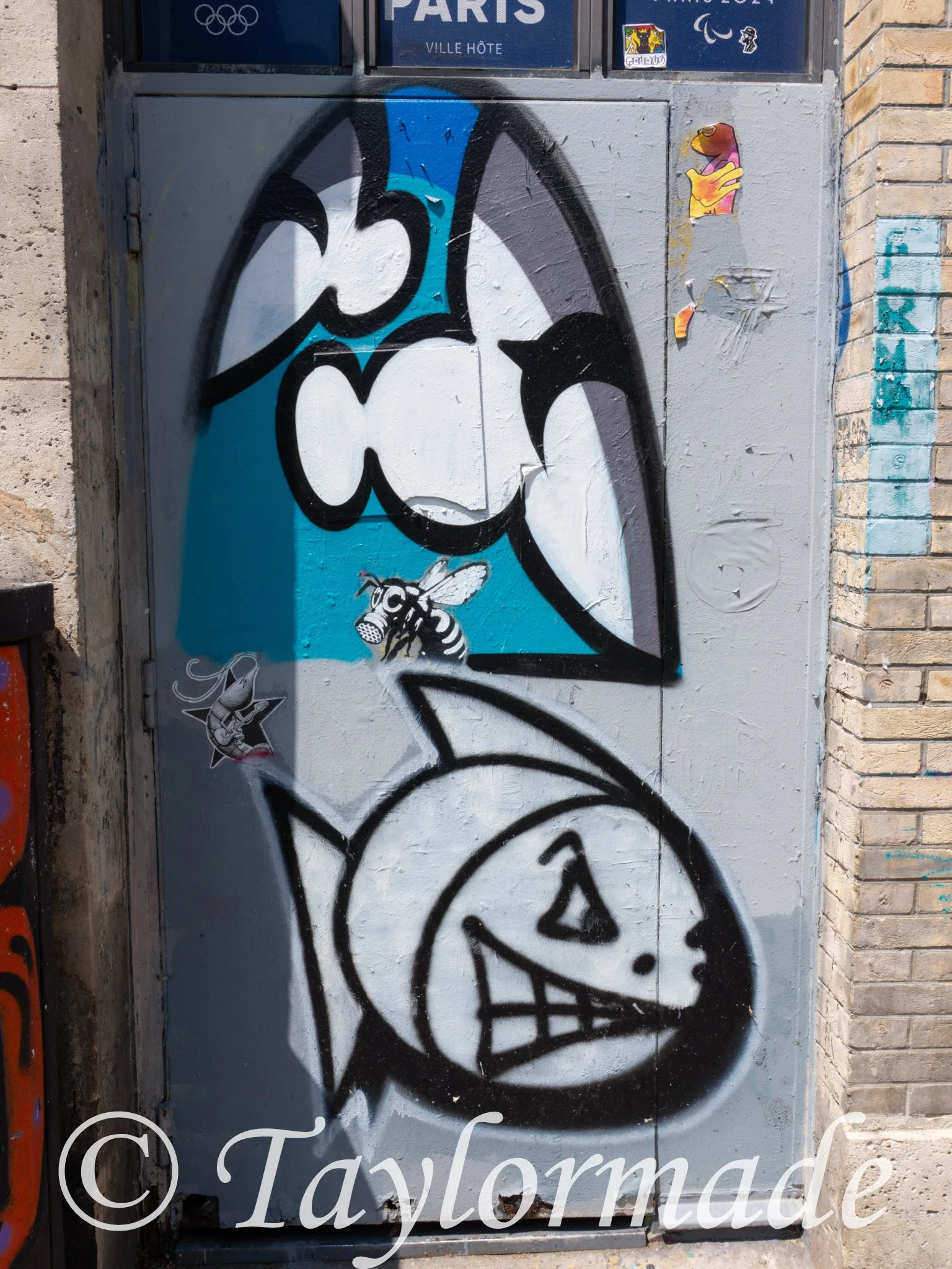 DSC00726.jpg