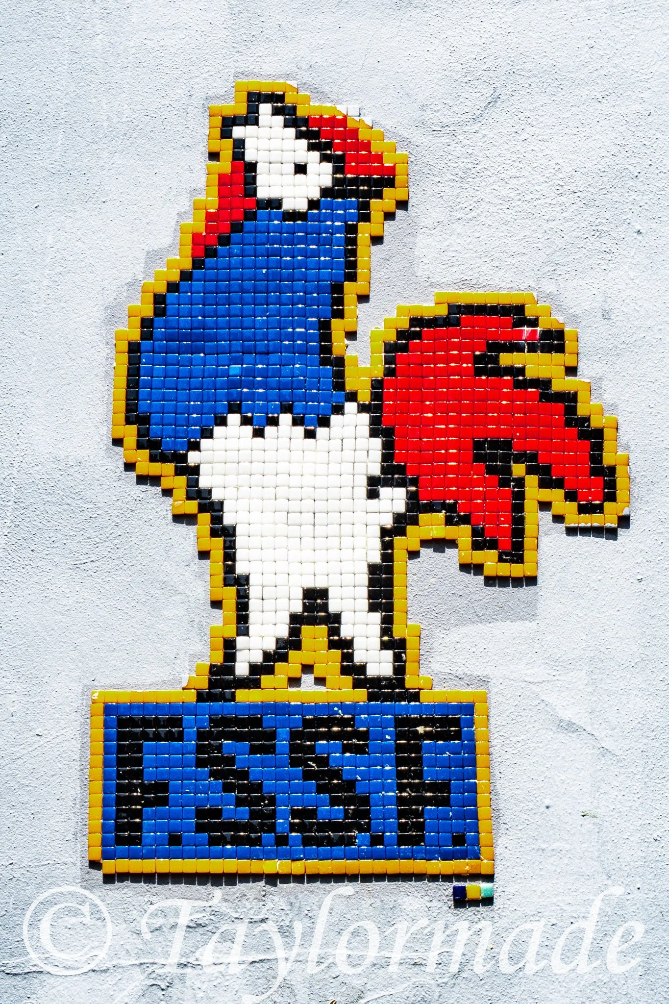 DSC00740.jpg
