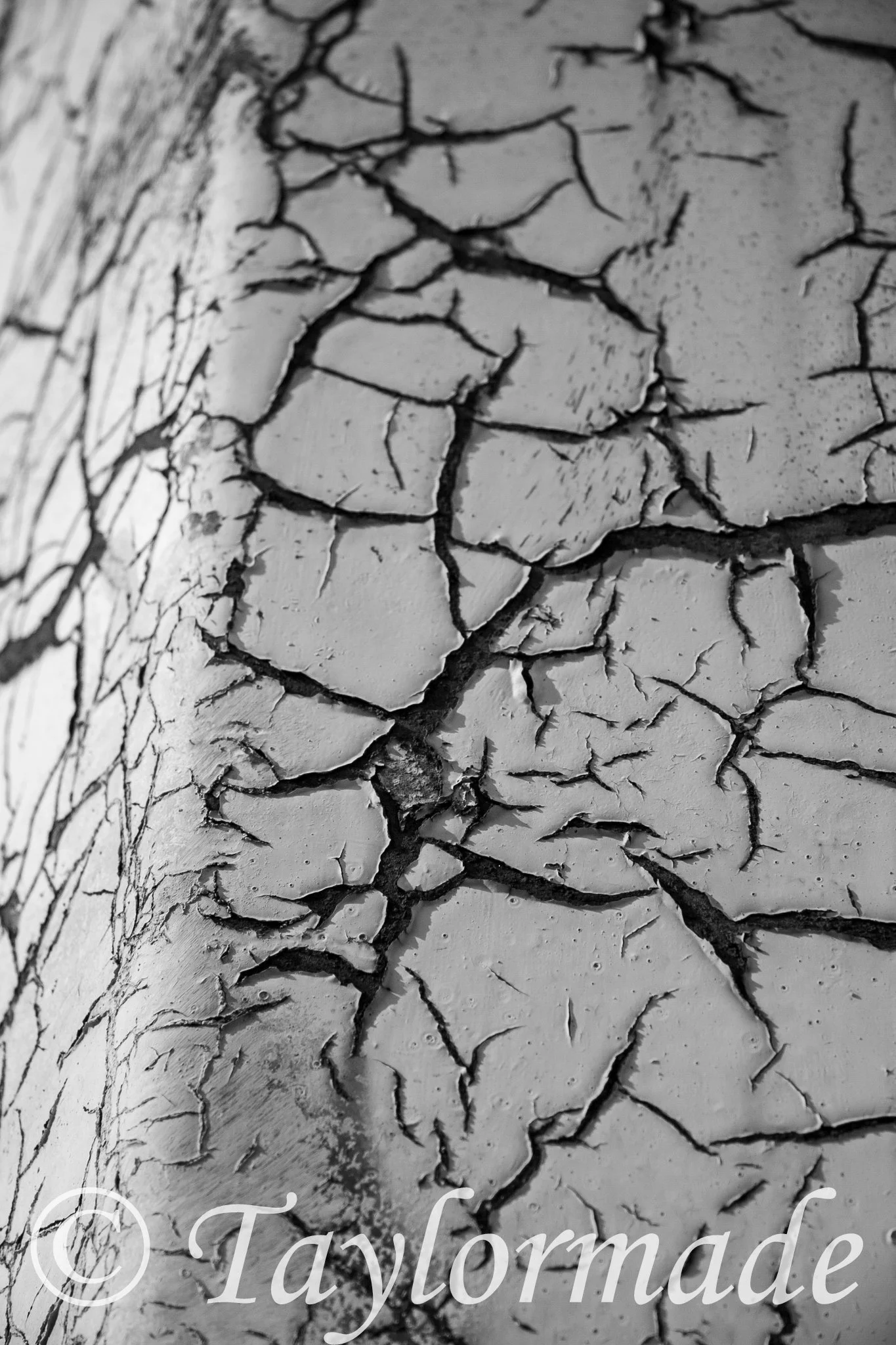 _MG_6764.jpg