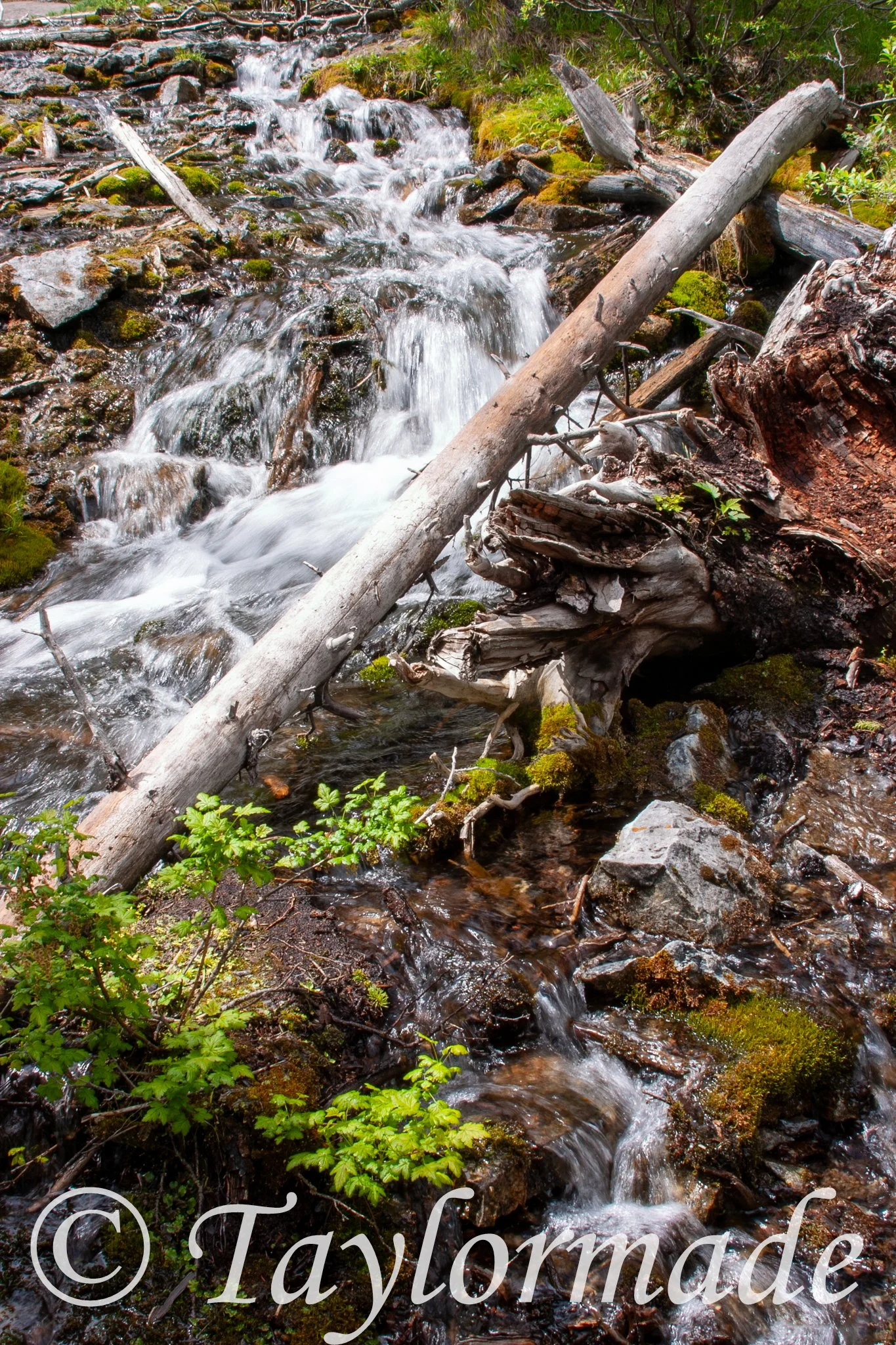 CRW_3912.jpg