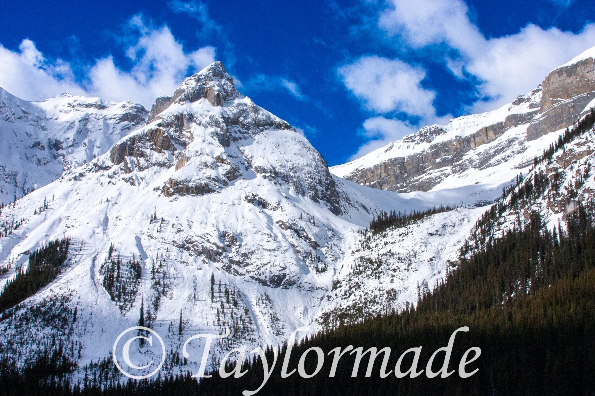 CRW_2713.jpg