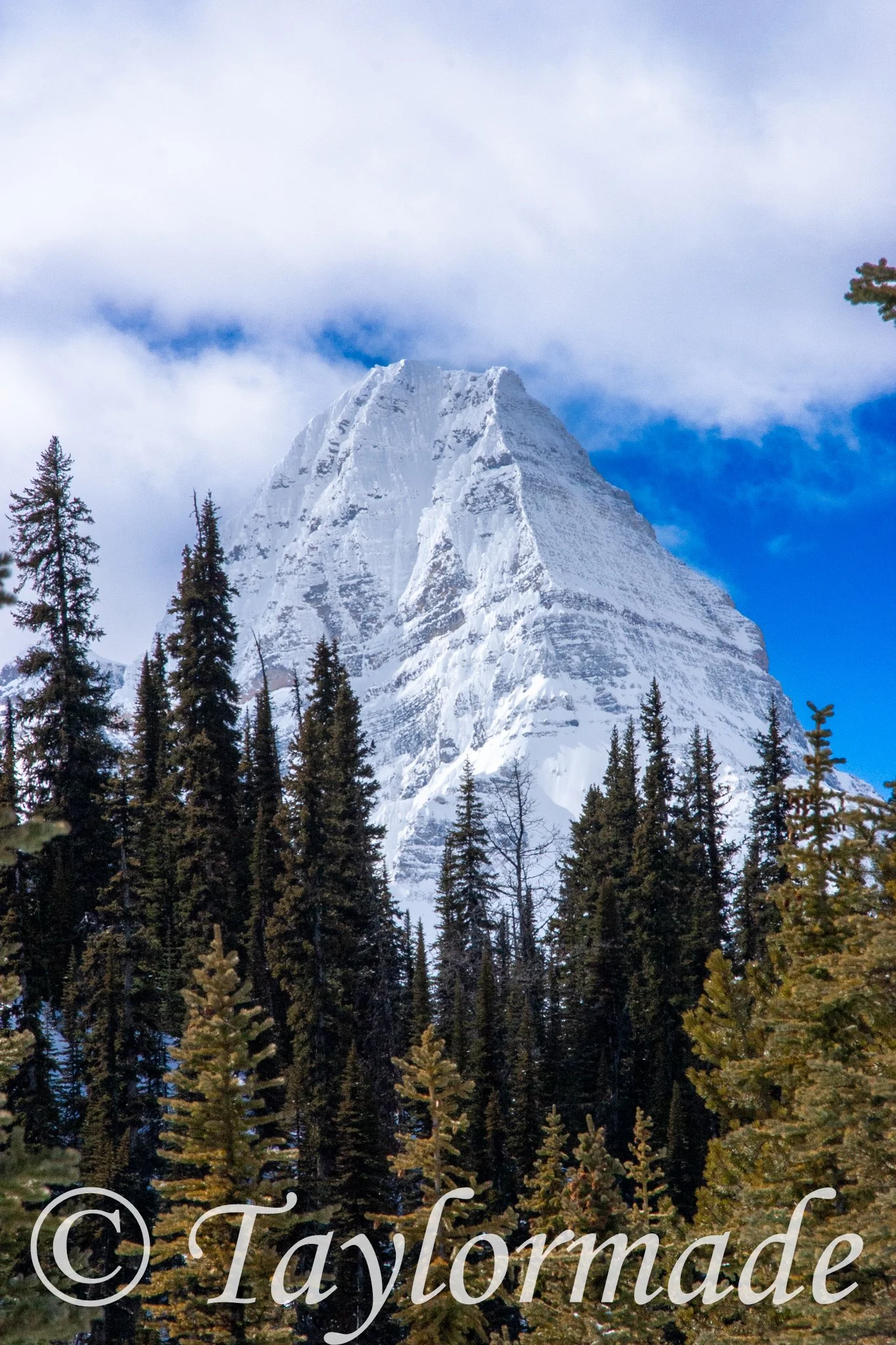 CRW_2716.jpg