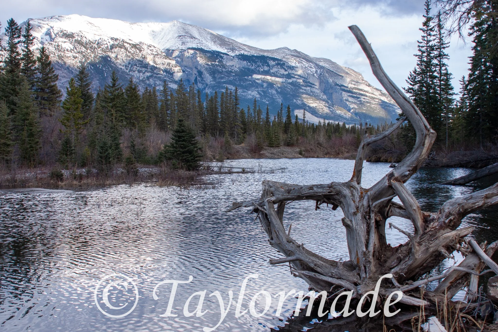 CRW_1519.jpg