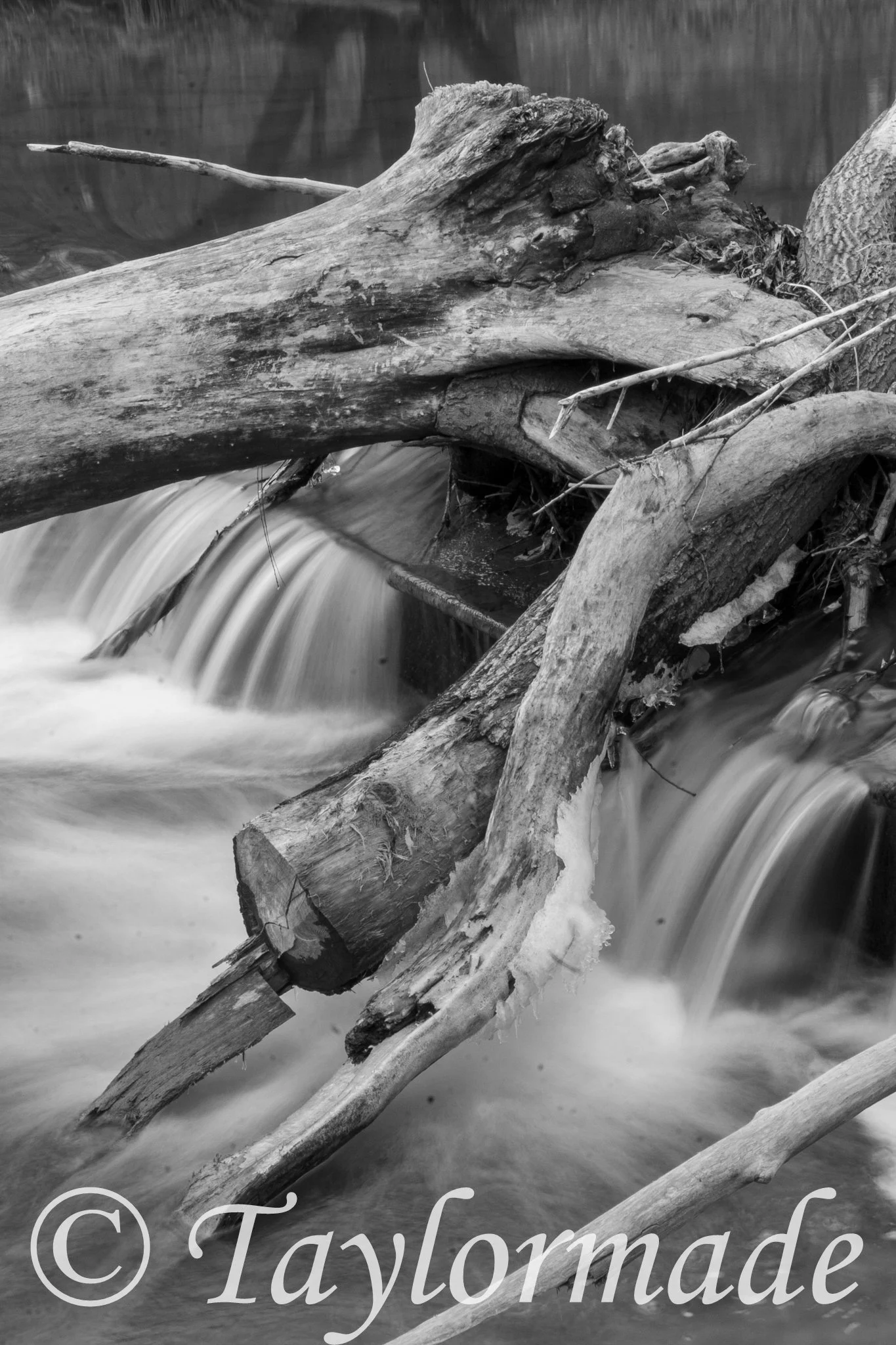 _MG_9730.jpg