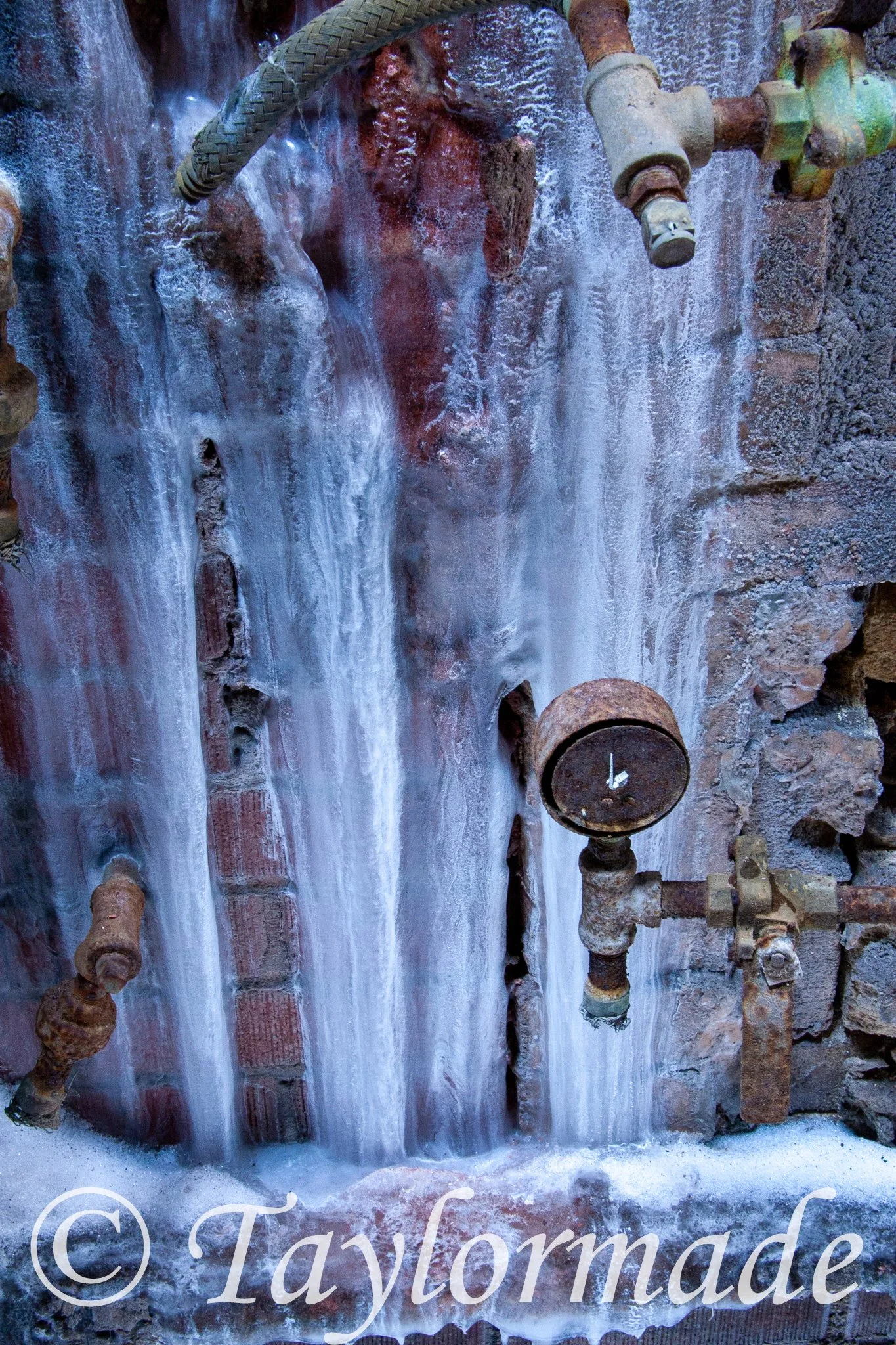 _mg_2384.jpg