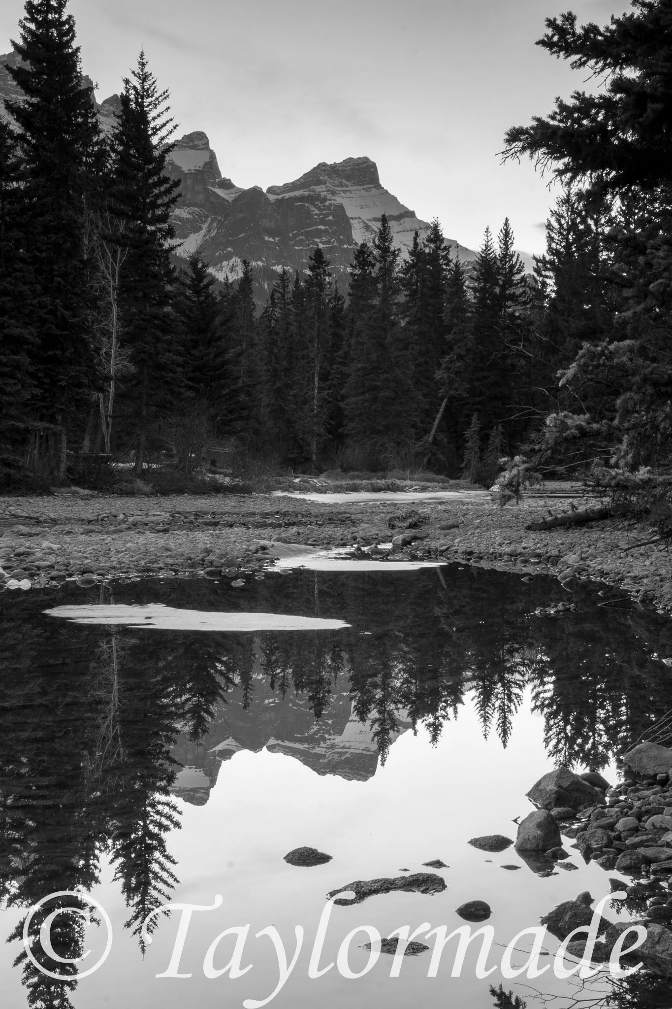 CRW_1893.jpg