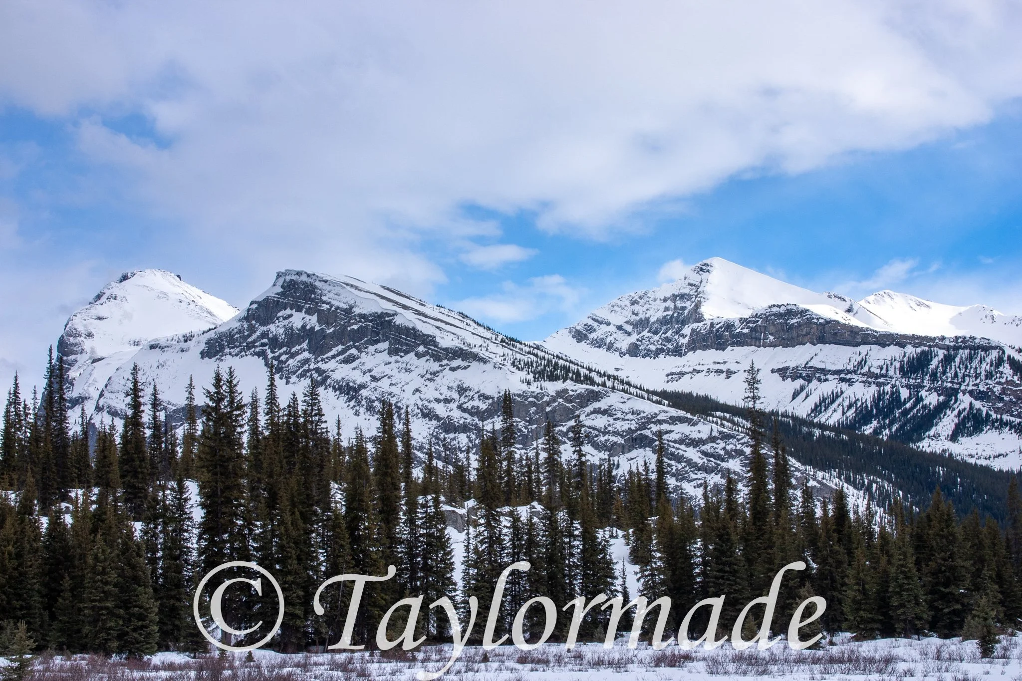 CRW_2691.jpg