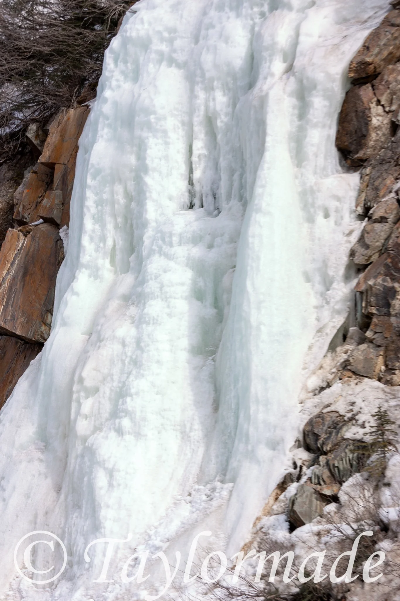CRW_2643.jpg