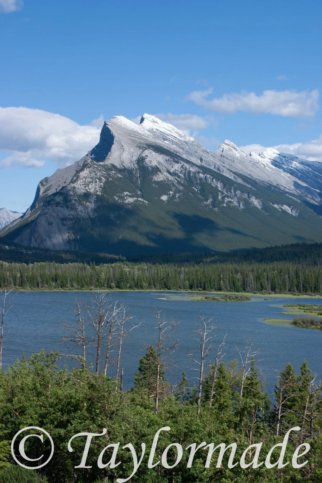 CRW_4672.jpg