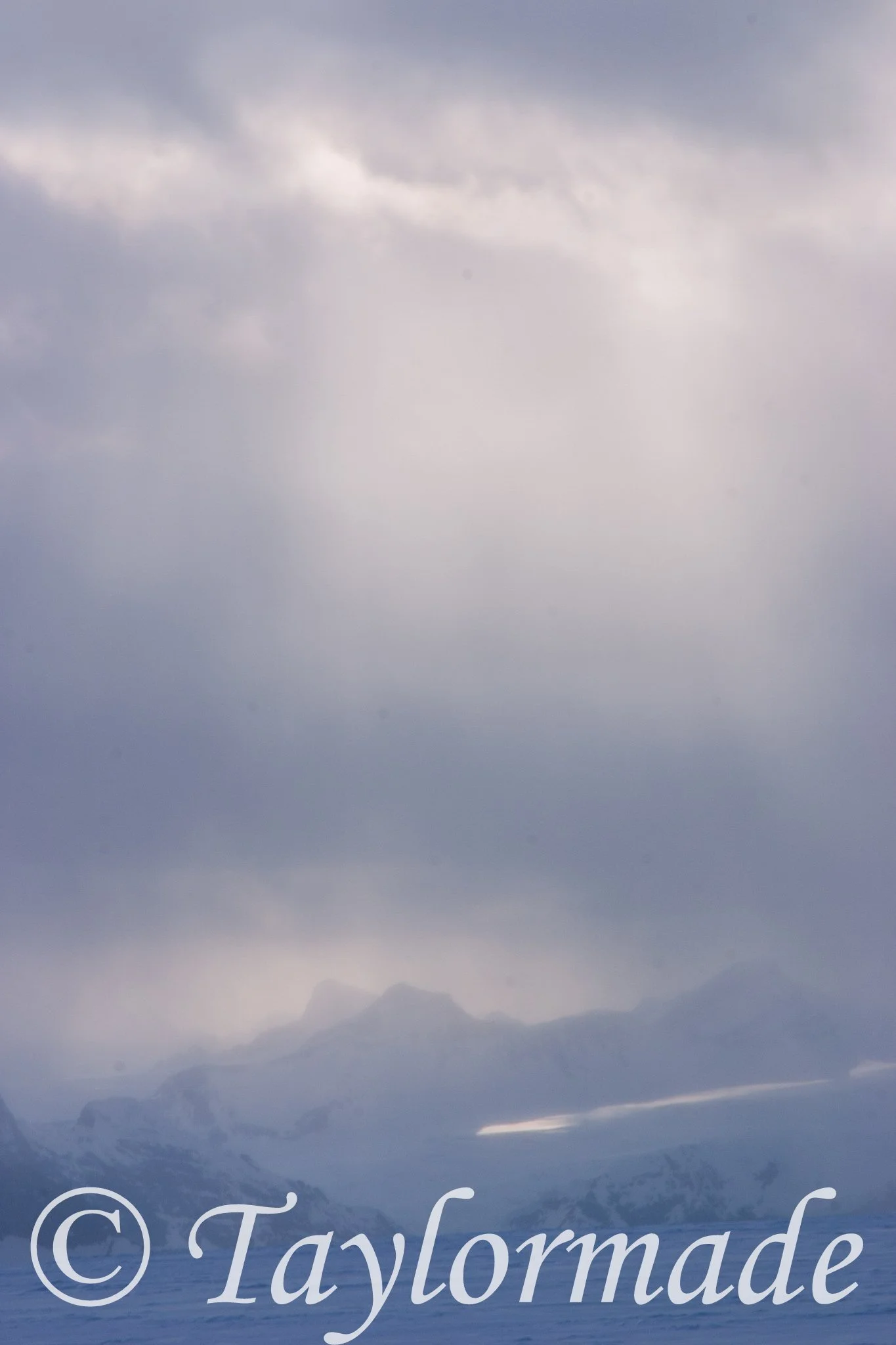 CRW_3117.jpg