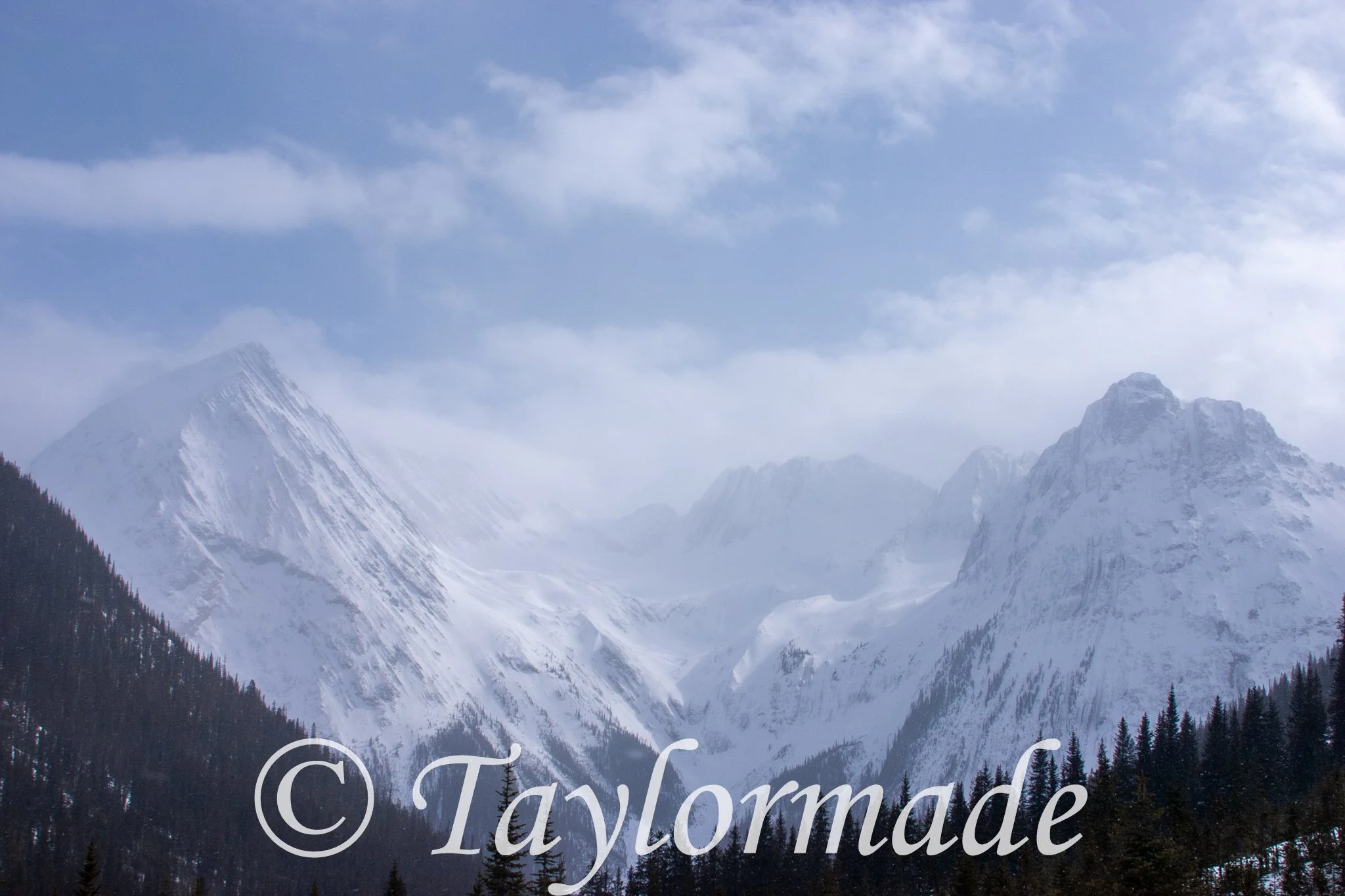 CRW_2314.jpg