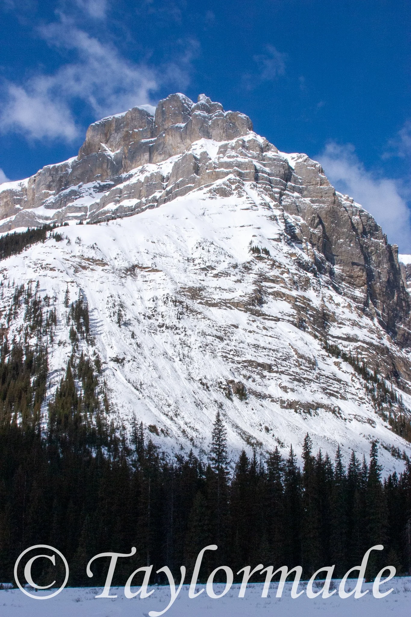 CRW_2714.jpg