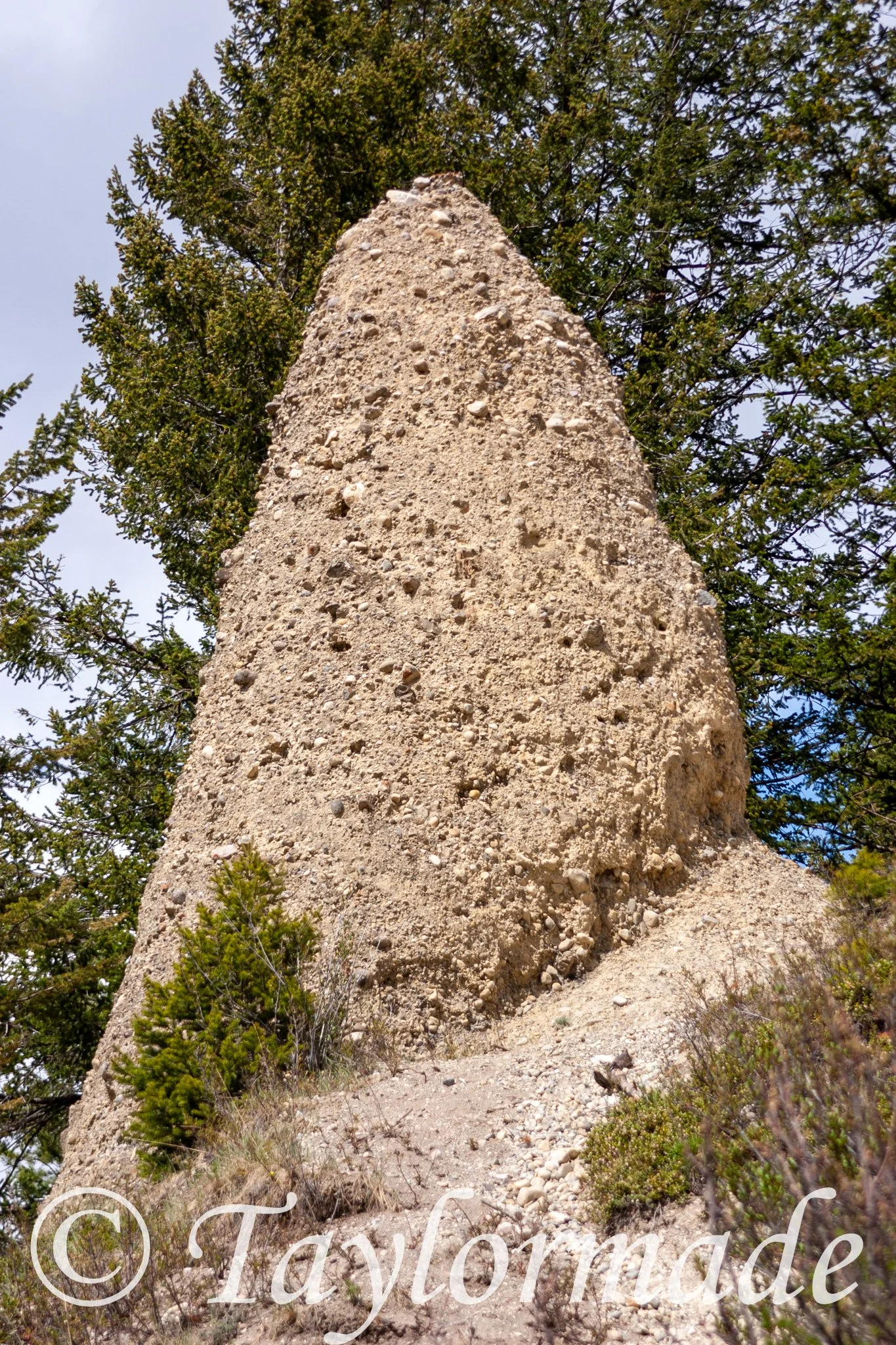 CRW_3437.jpg