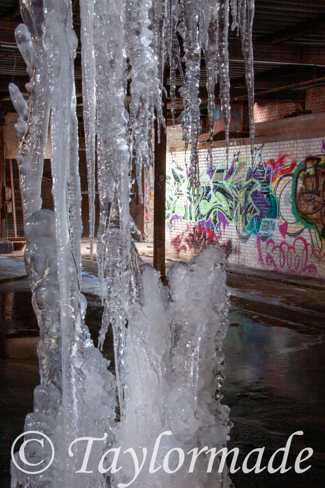 _mg_2440.jpg